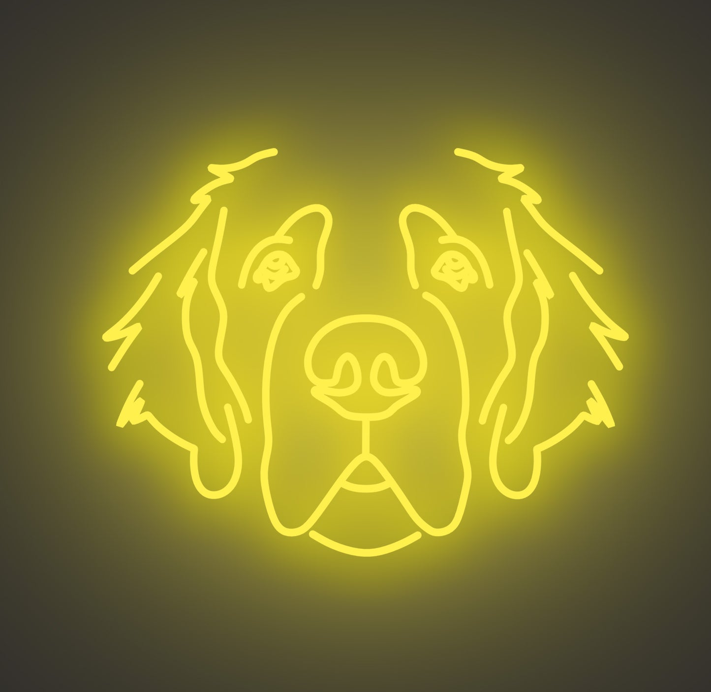 Saint Bernard Dog 01