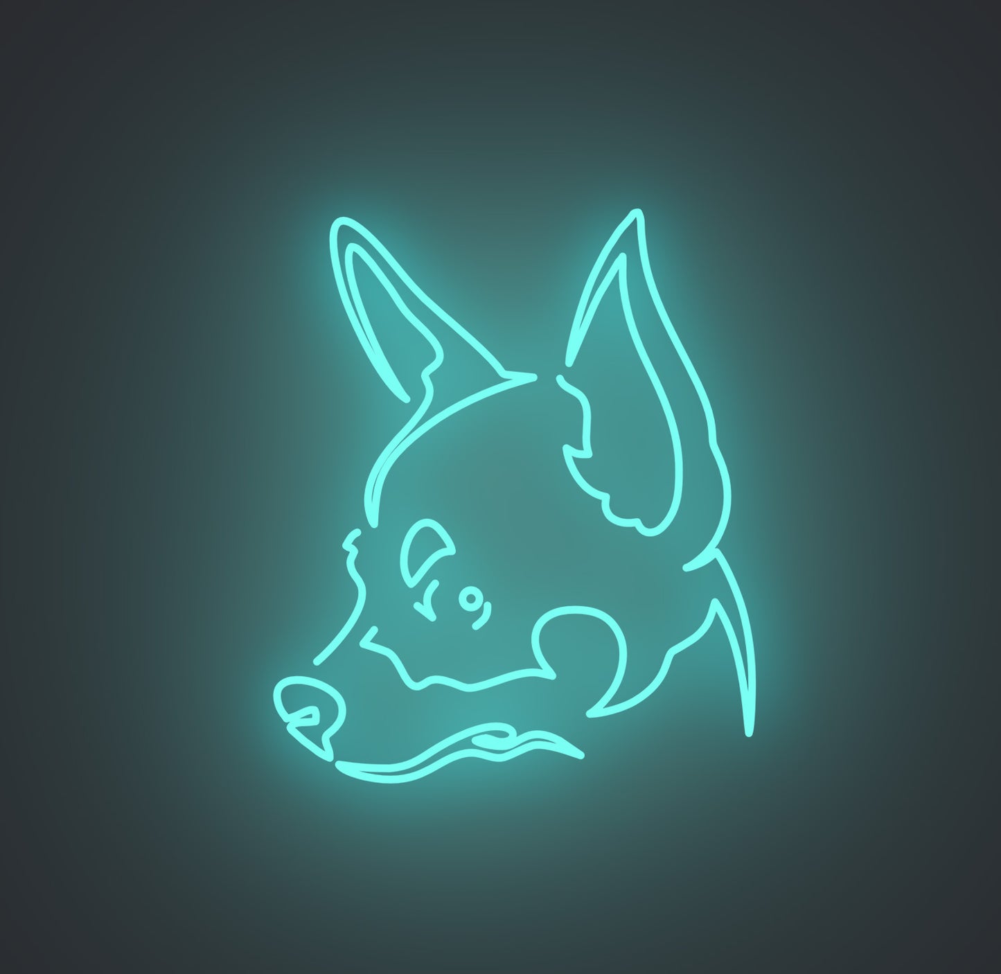 Chihuahua Dog