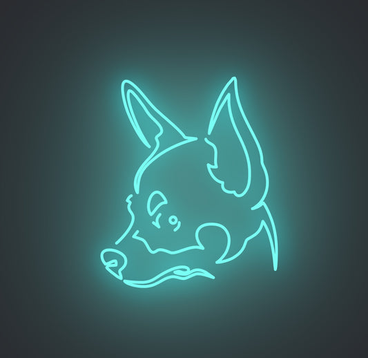 Chihuahua Dog