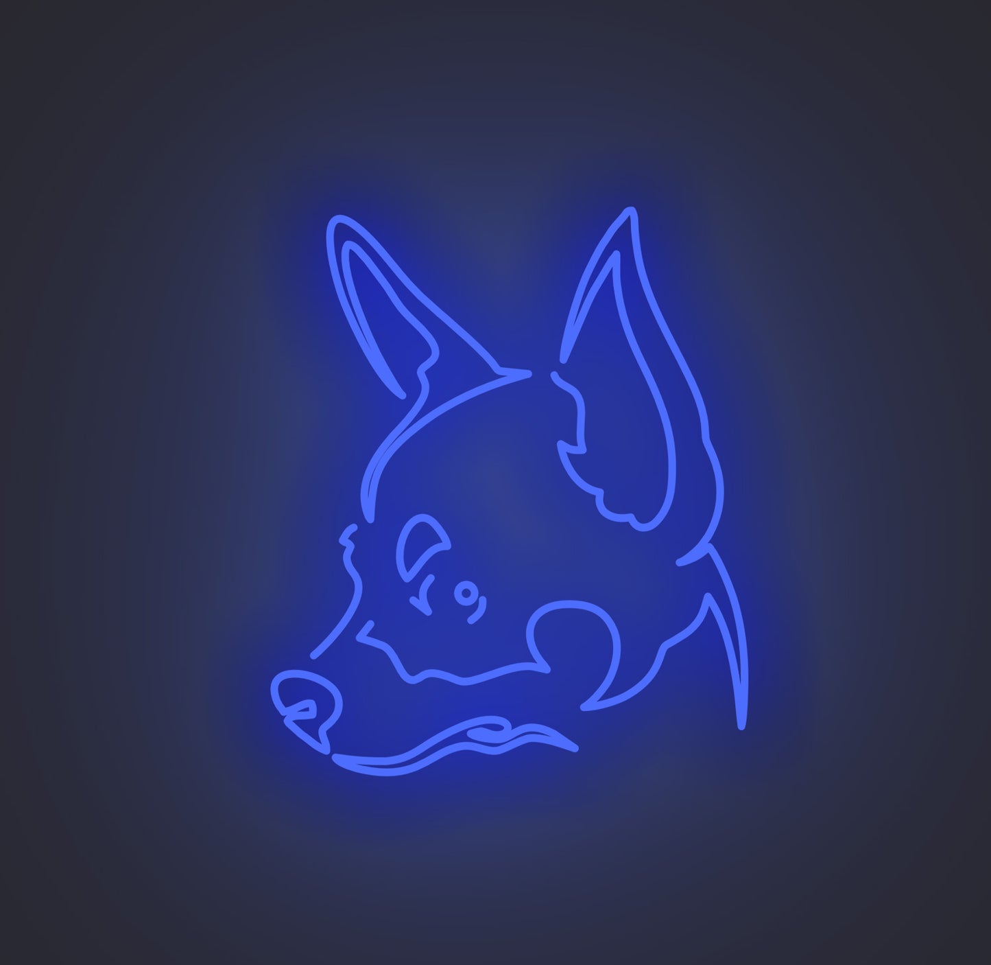 Chihuahua Dog