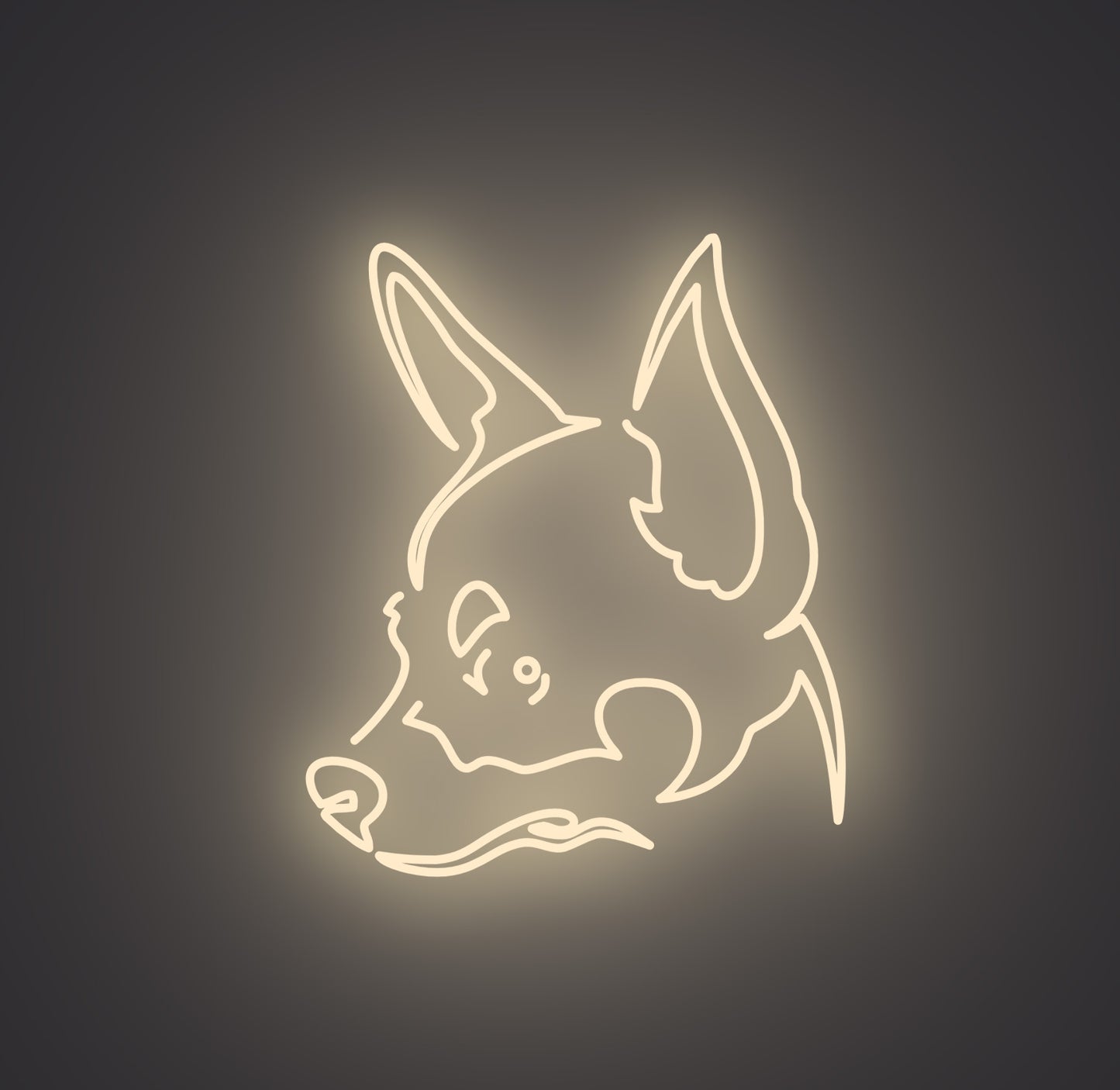 Chihuahua Dog