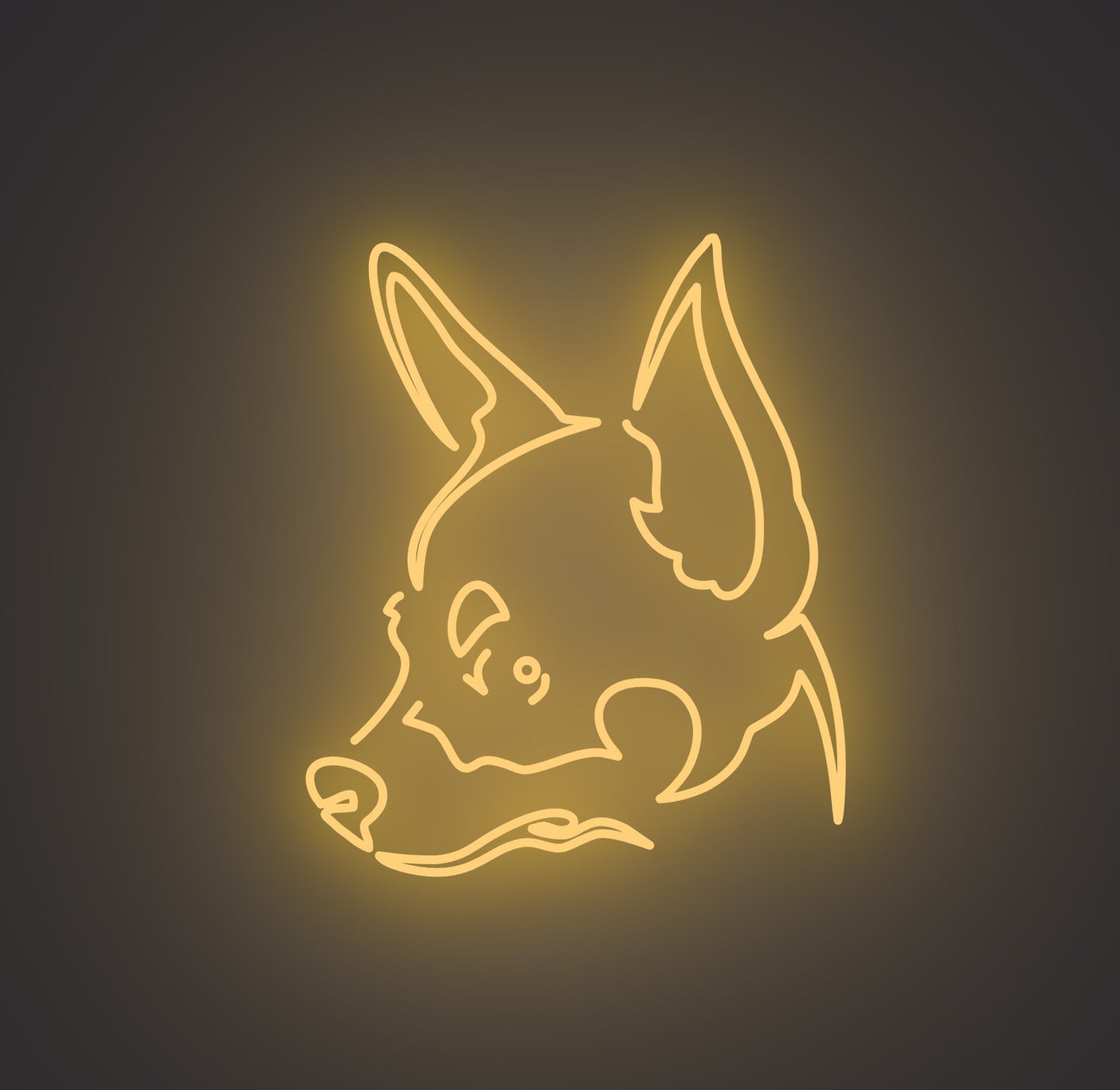 Chihuahua Dog