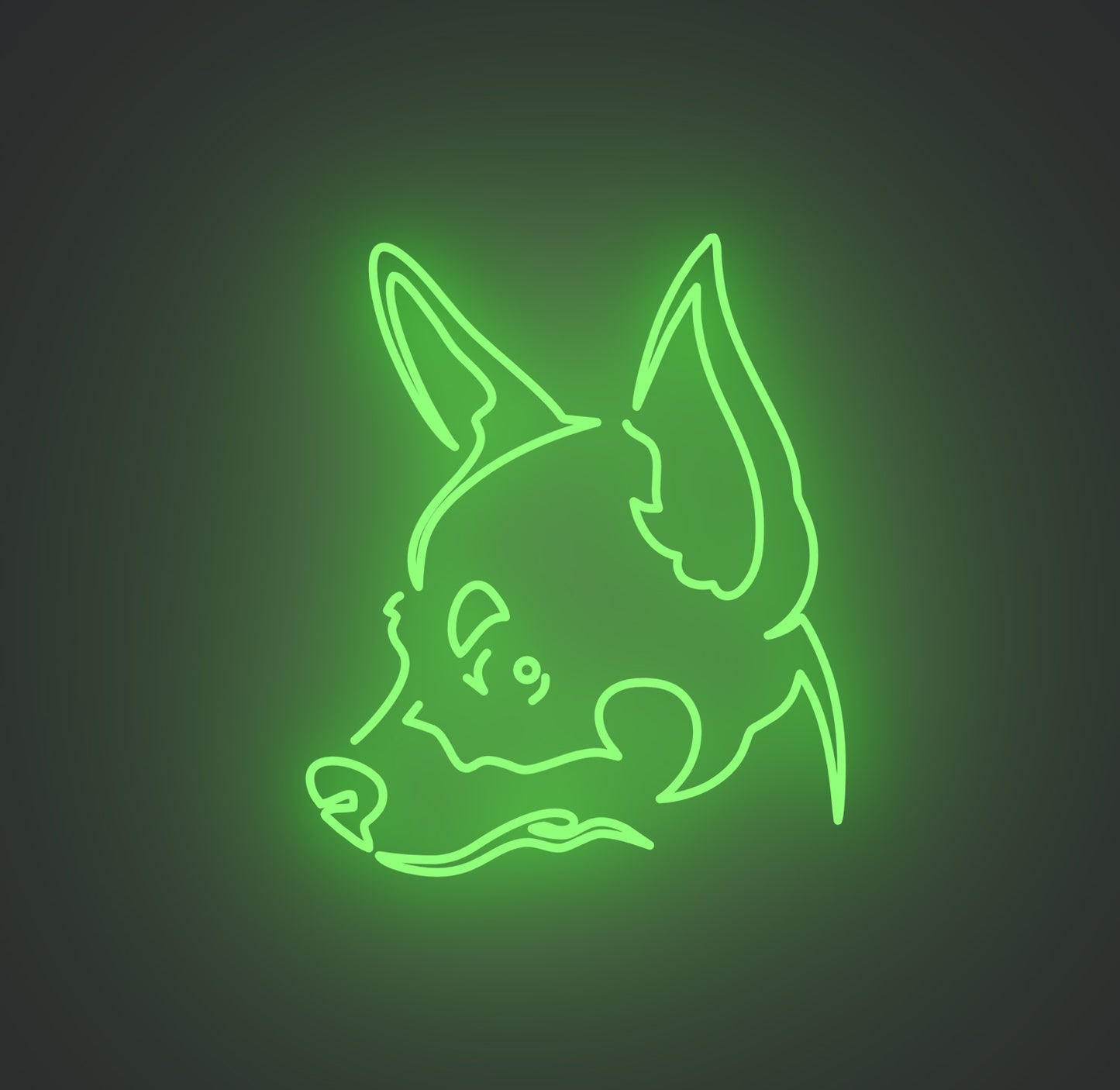 Chihuahua Dog