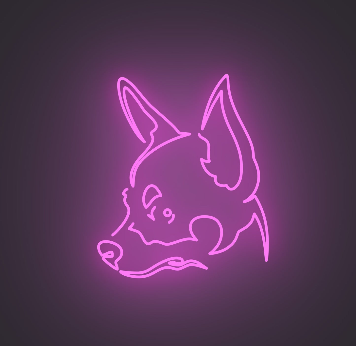 Chihuahua Dog