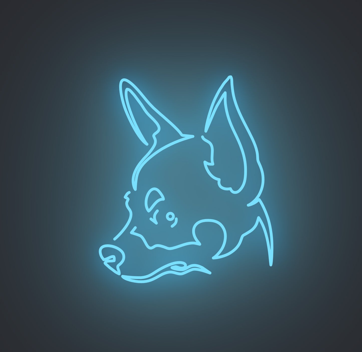 Chihuahua Dog