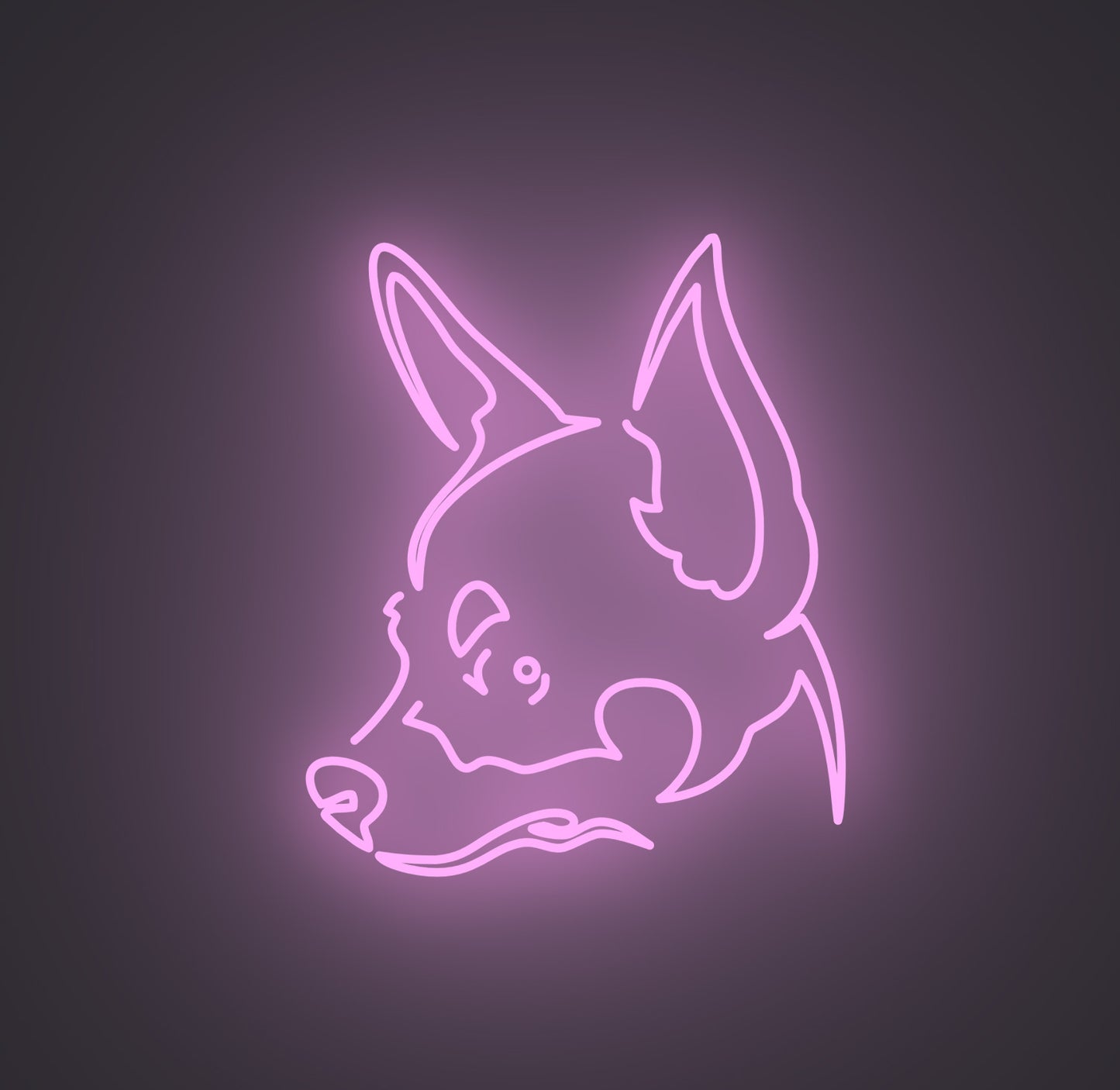 Chihuahua Dog