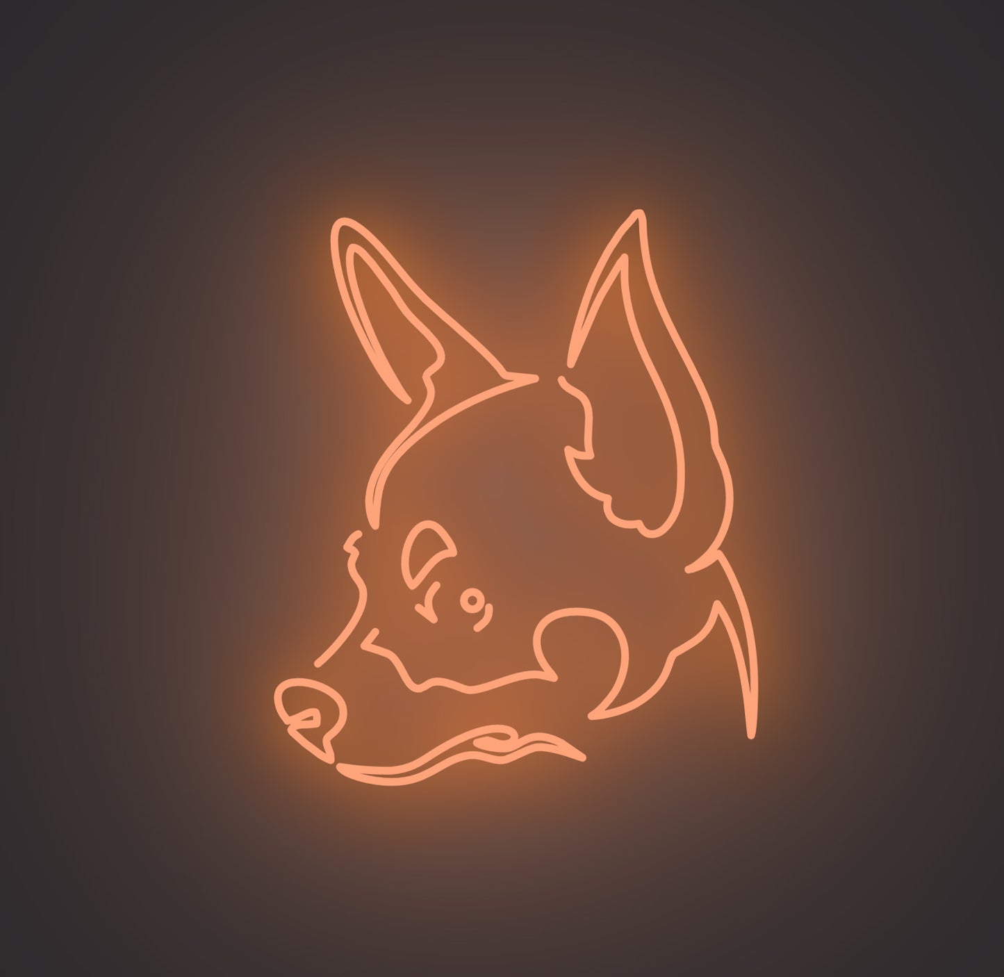 Chihuahua Dog