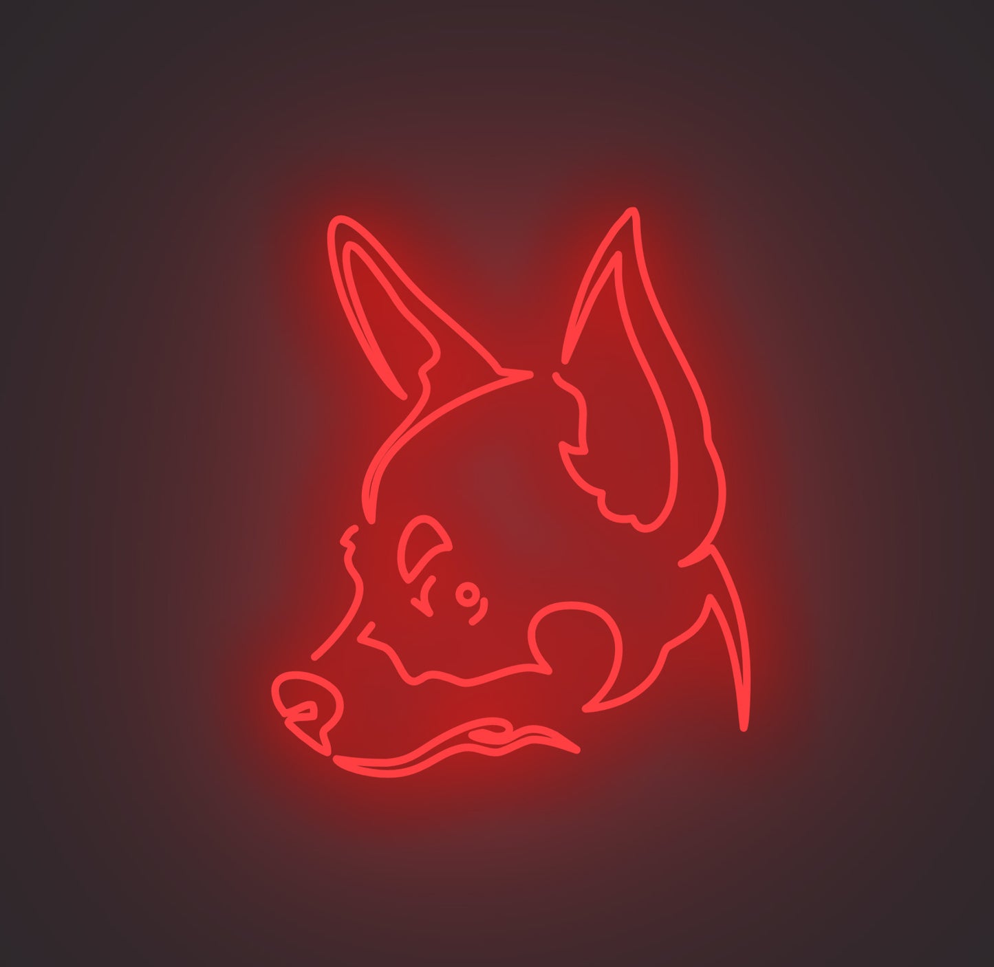 Chihuahua Dog