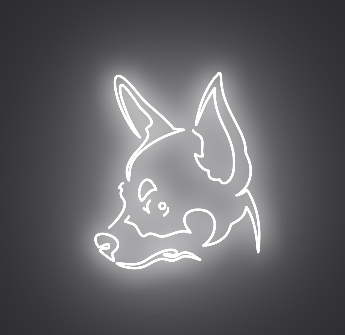 Chihuahua Dog