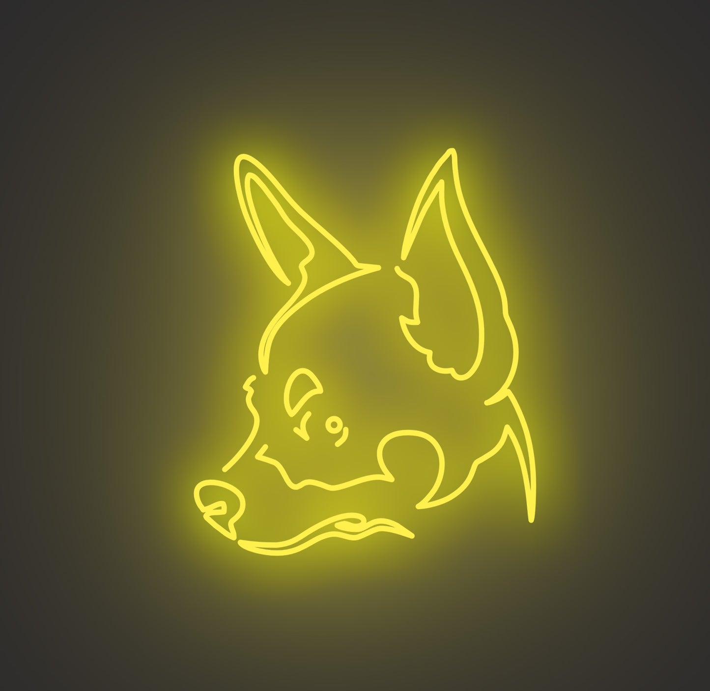 Chihuahua Dog