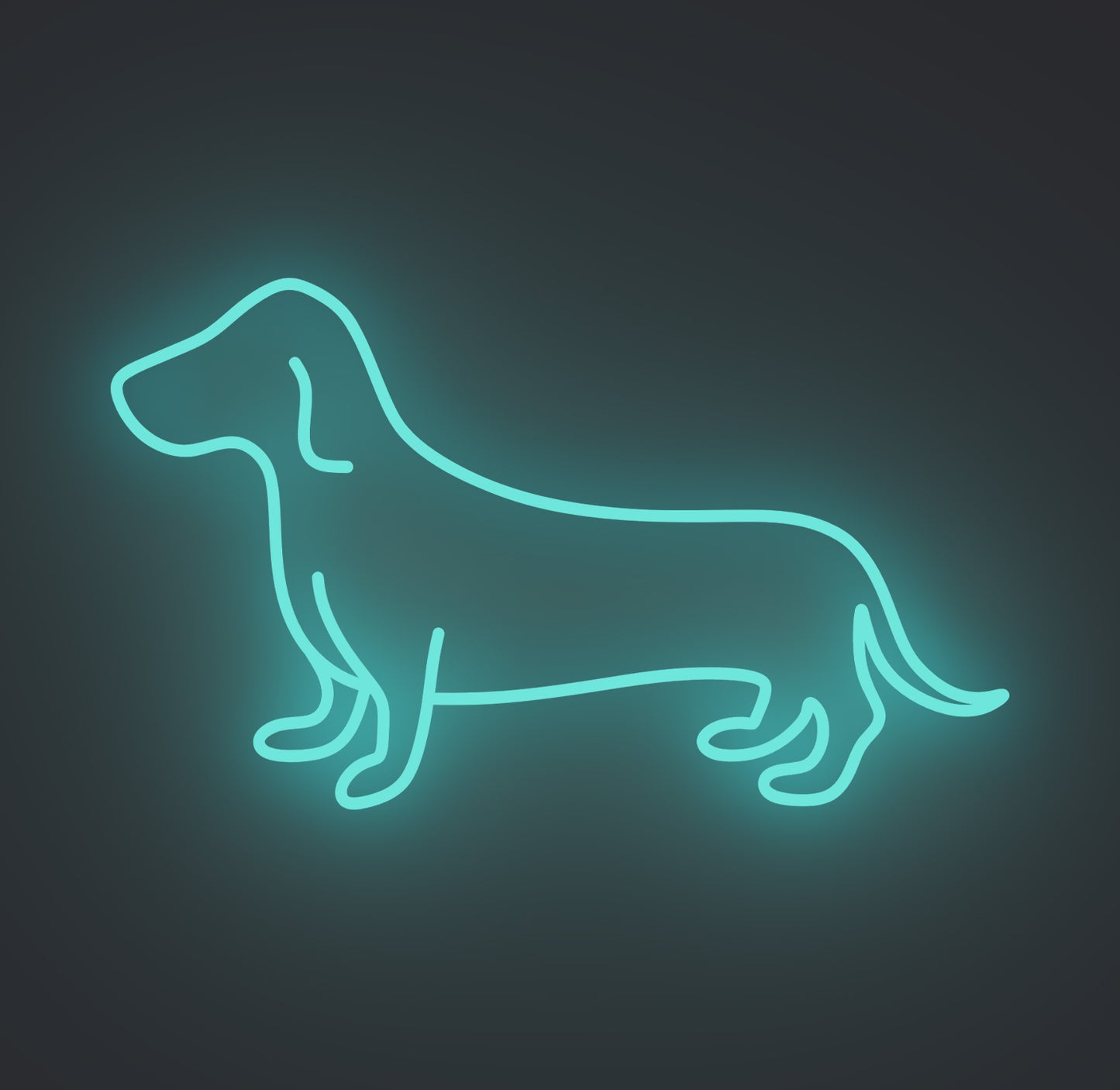 Dachshund Sausage Dog