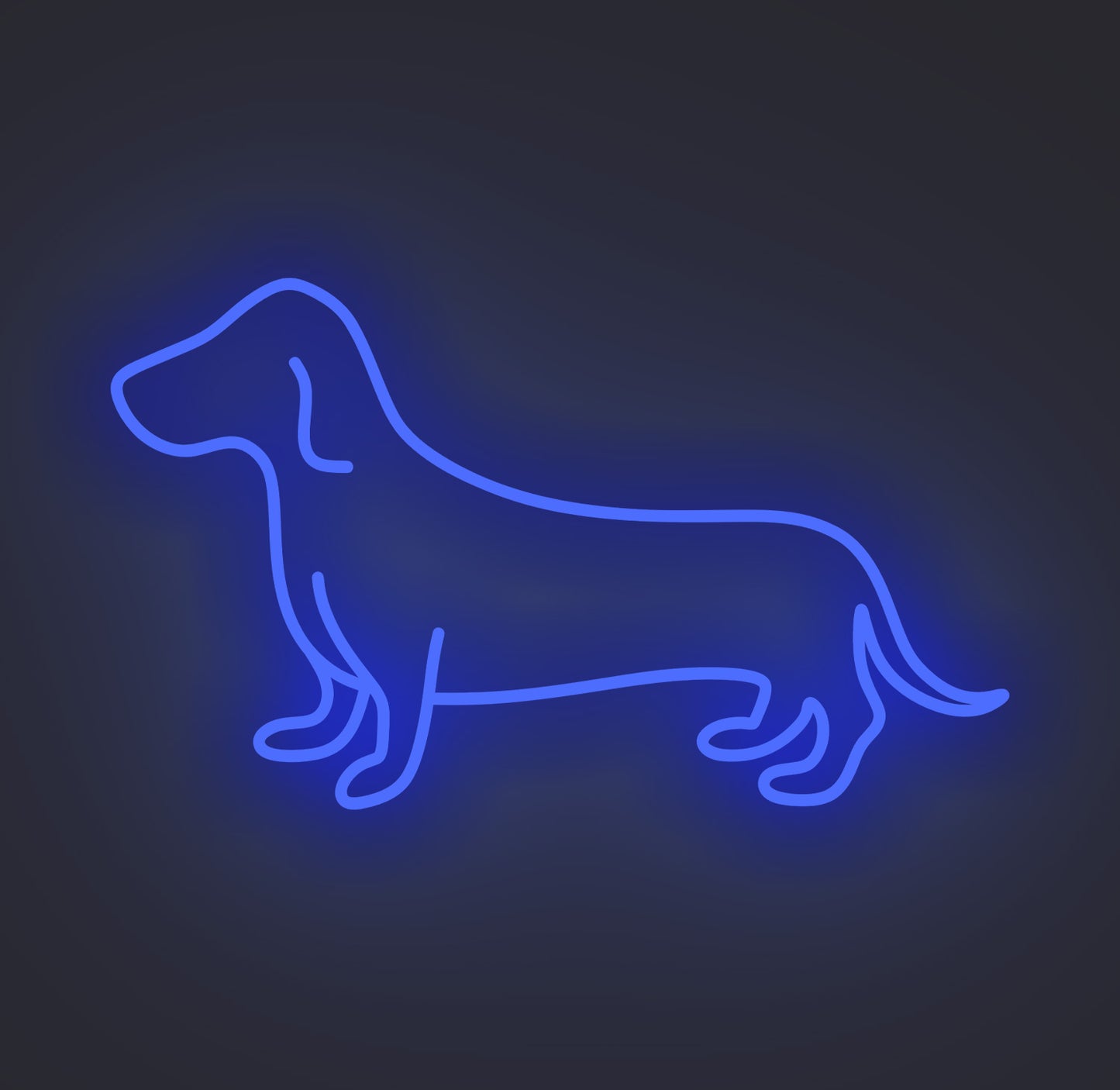 Dachshund Sausage Dog