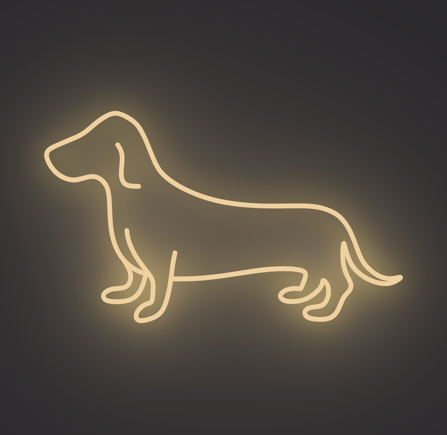 Dachshund Sausage Dog