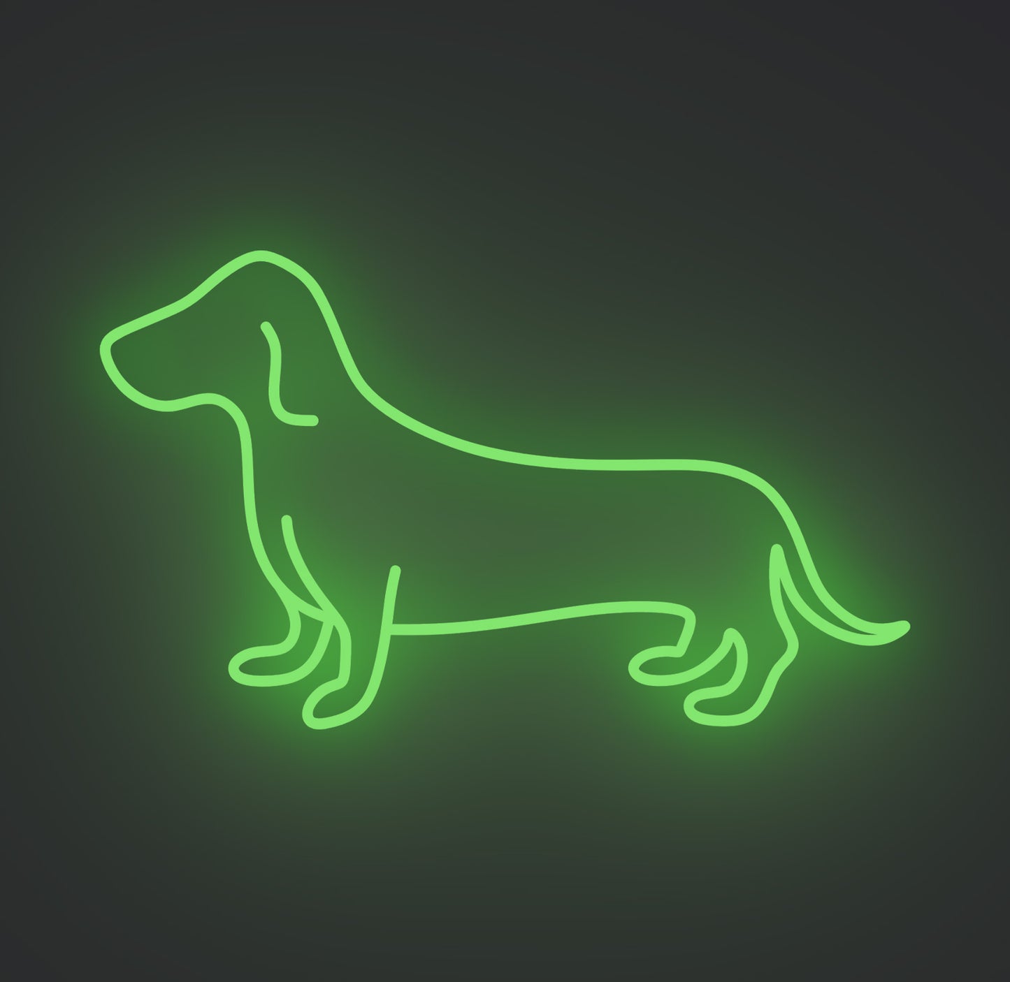 Dachshund Sausage Dog