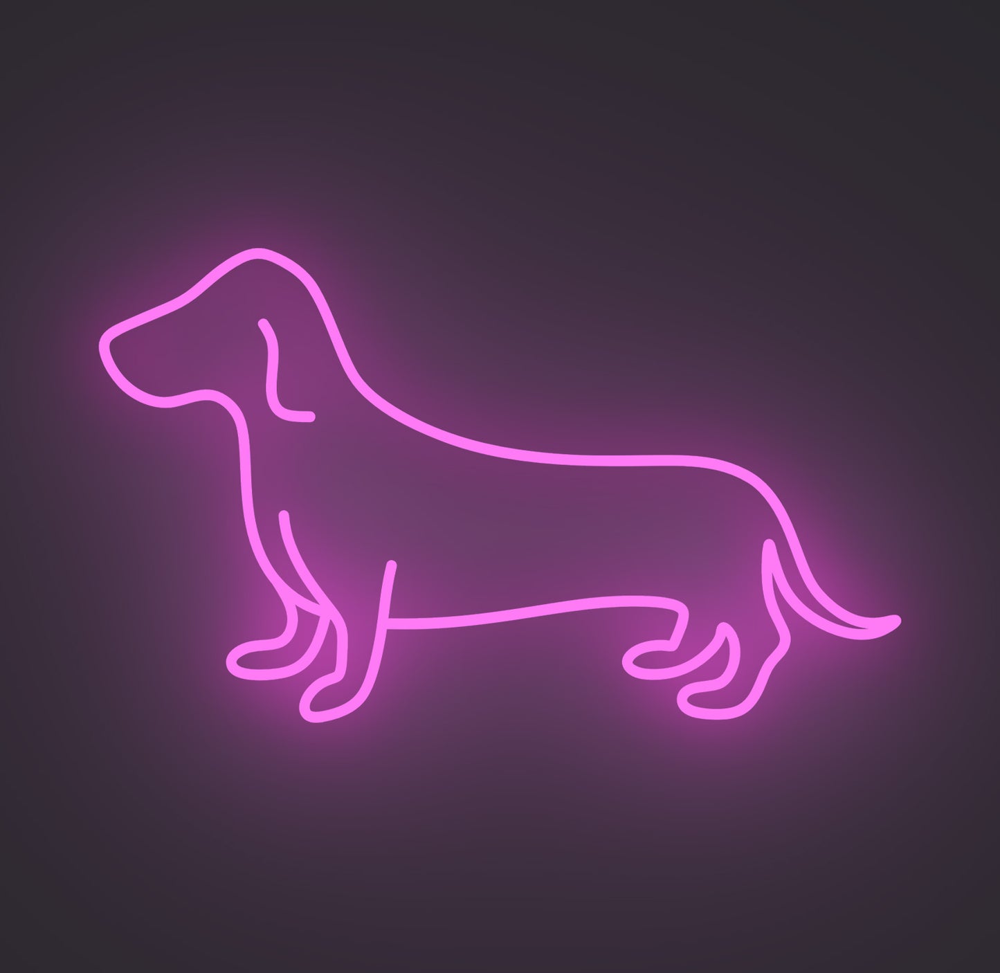 Dachshund Sausage Dog