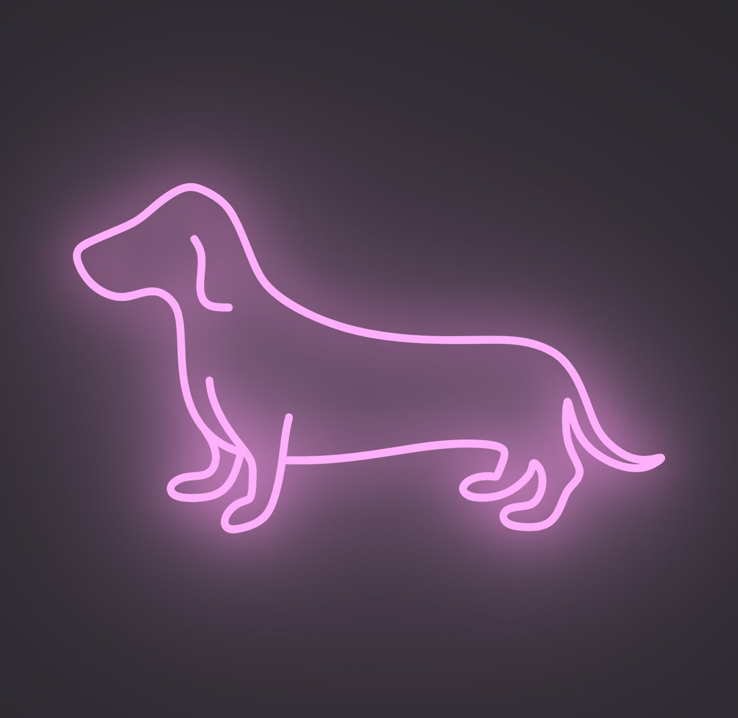 Dachshund Sausage Dog