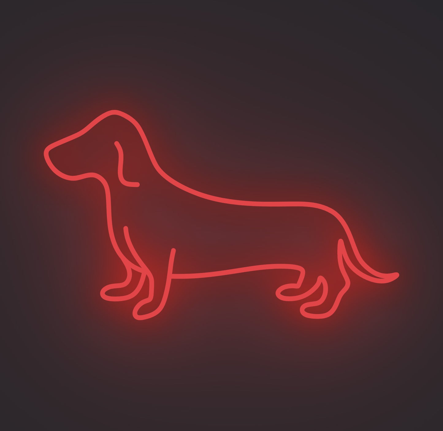 Dachshund Sausage Dog