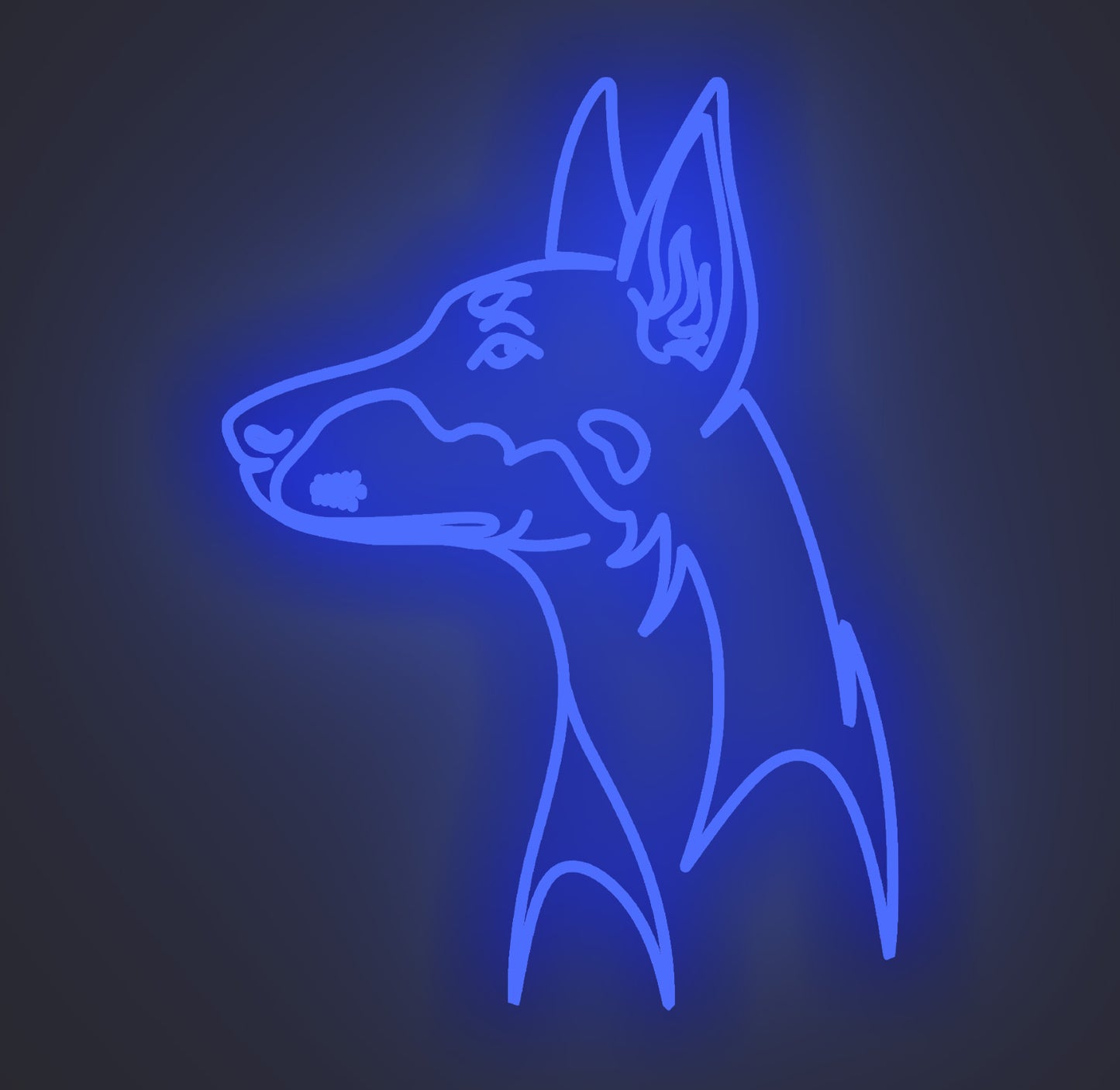Doberman Dog