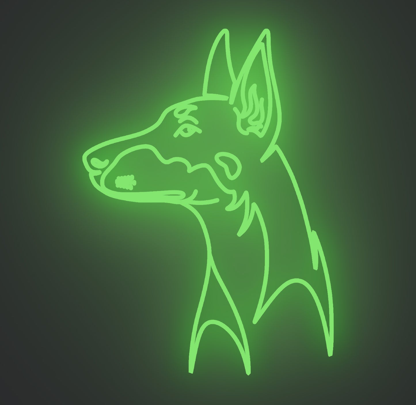 Doberman Dog