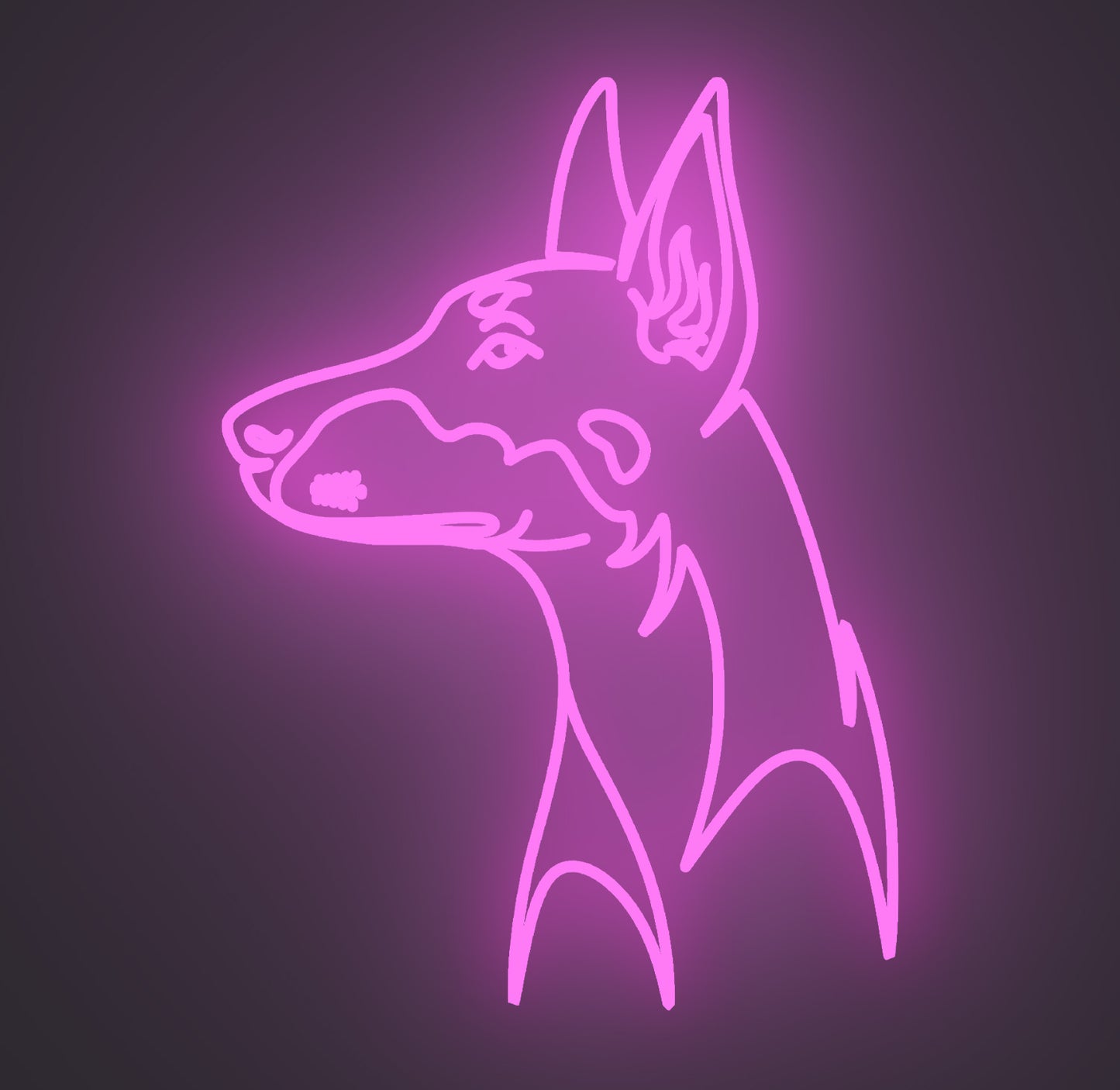 Doberman Dog