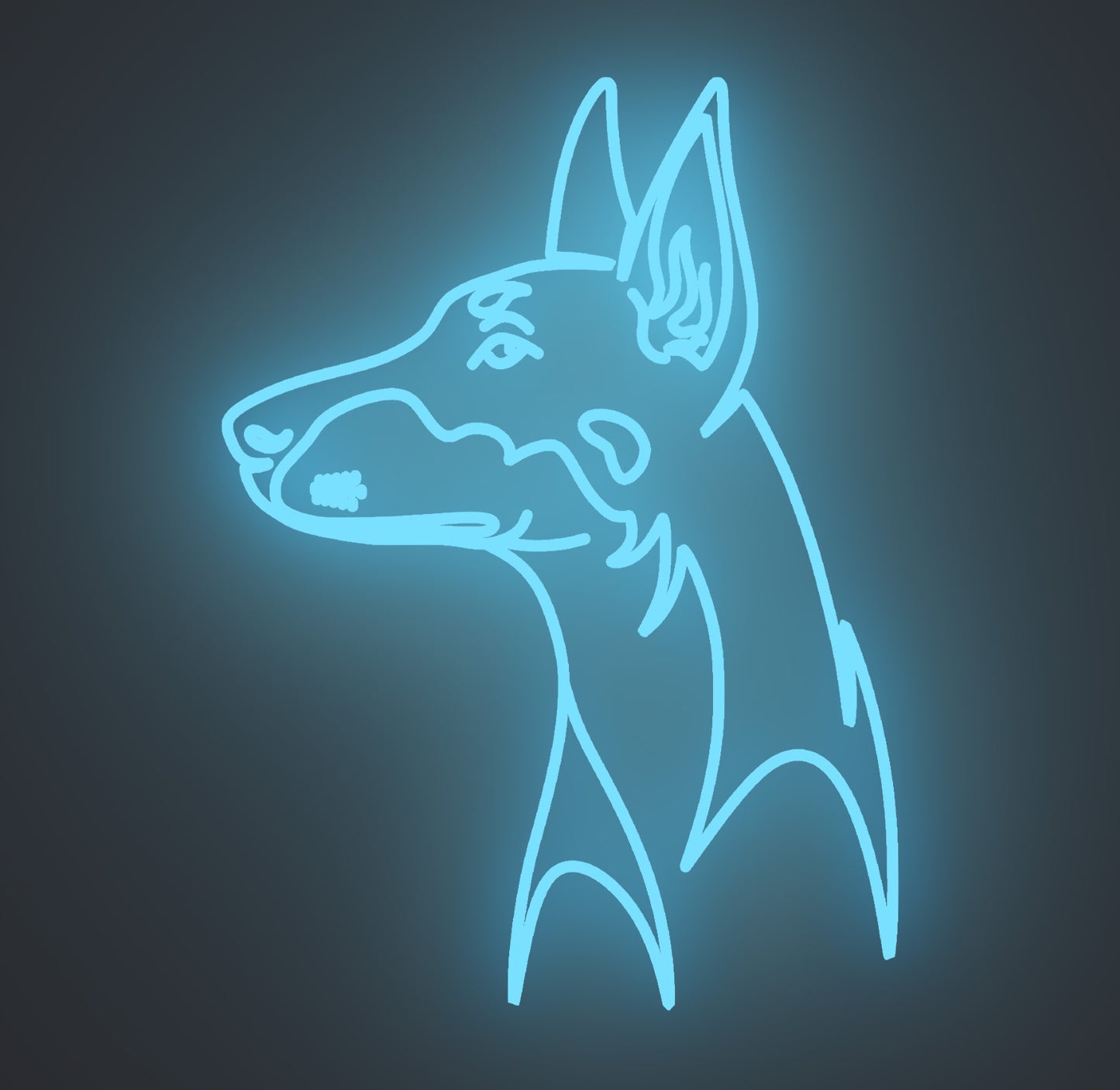 Doberman Dog