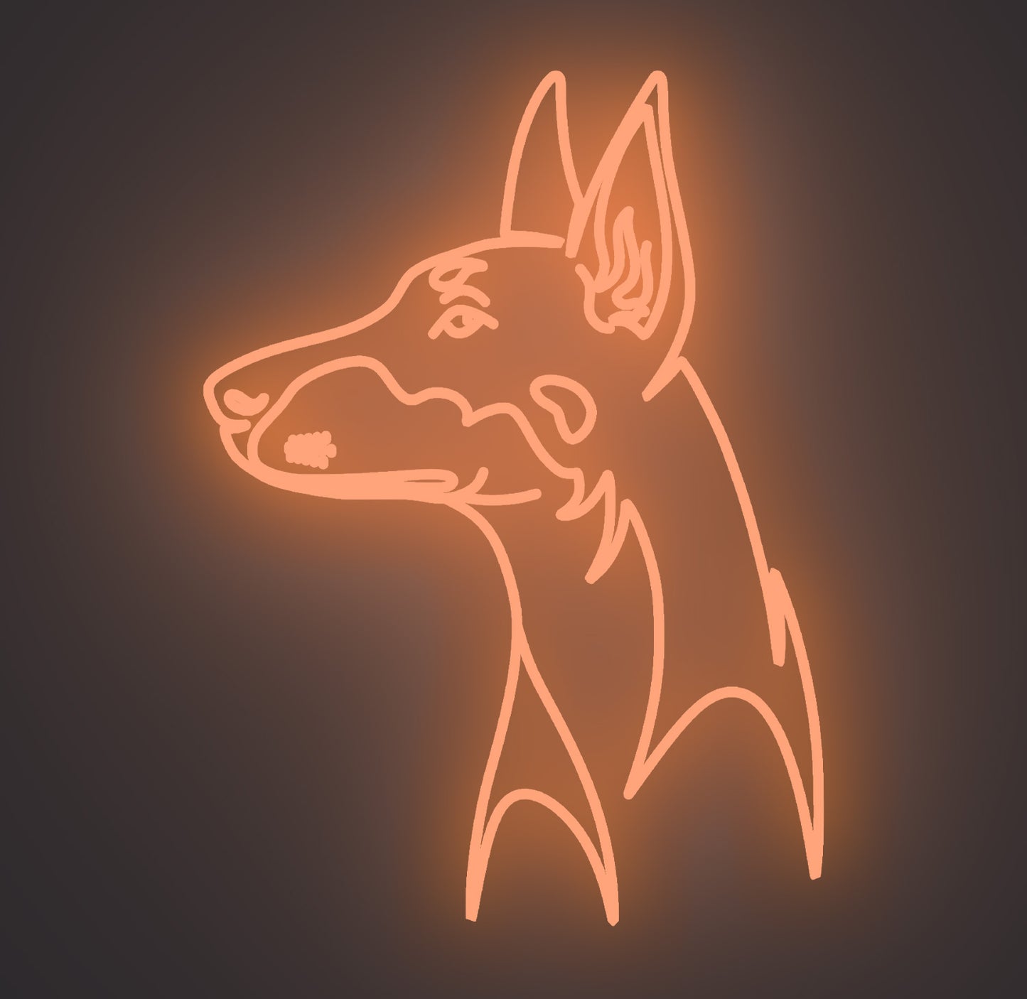 Doberman Dog