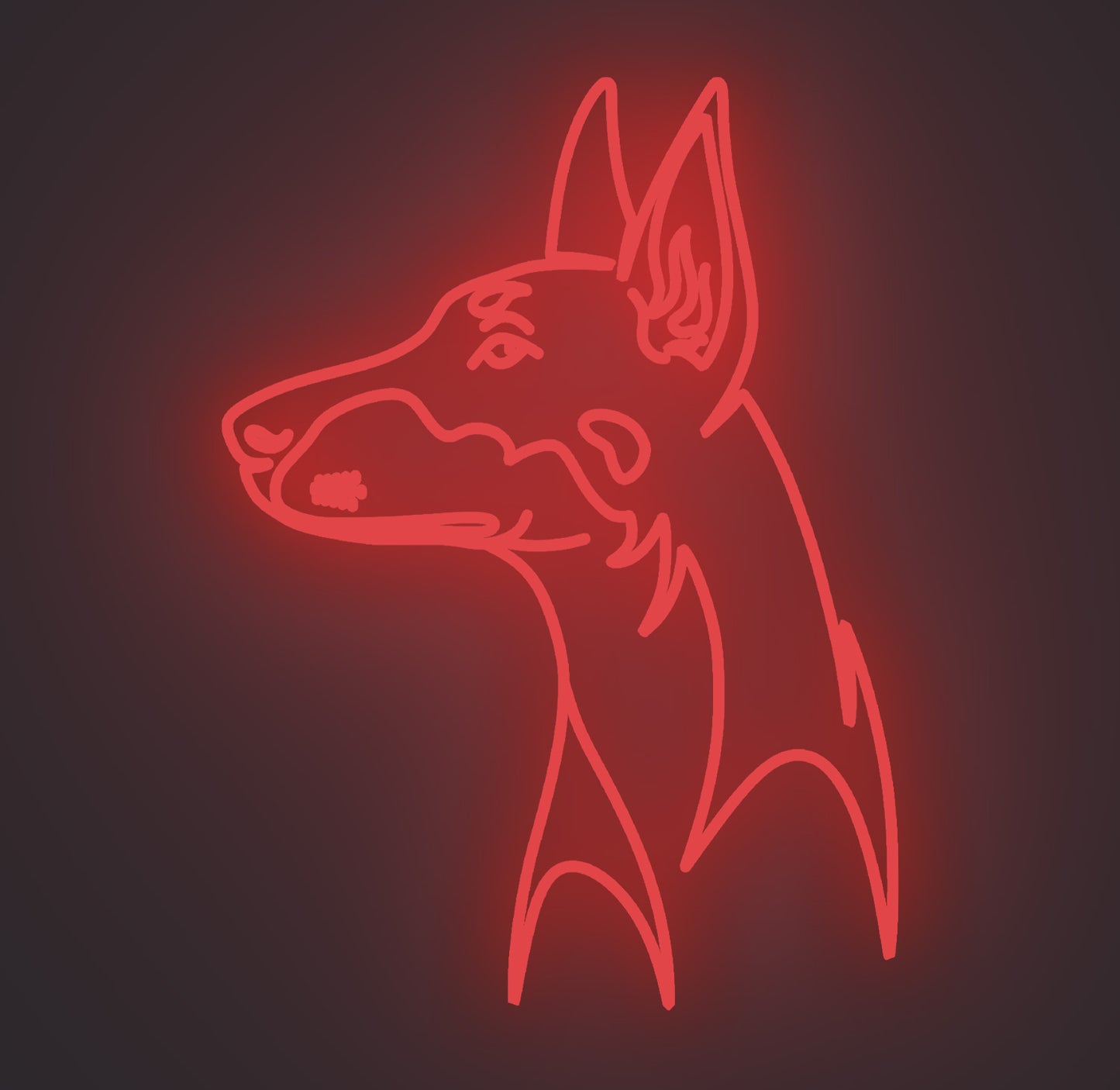 Doberman Dog