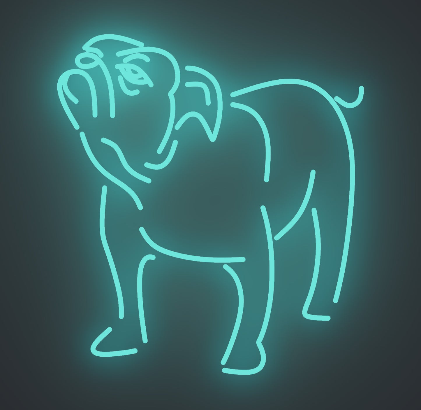 Bulldog