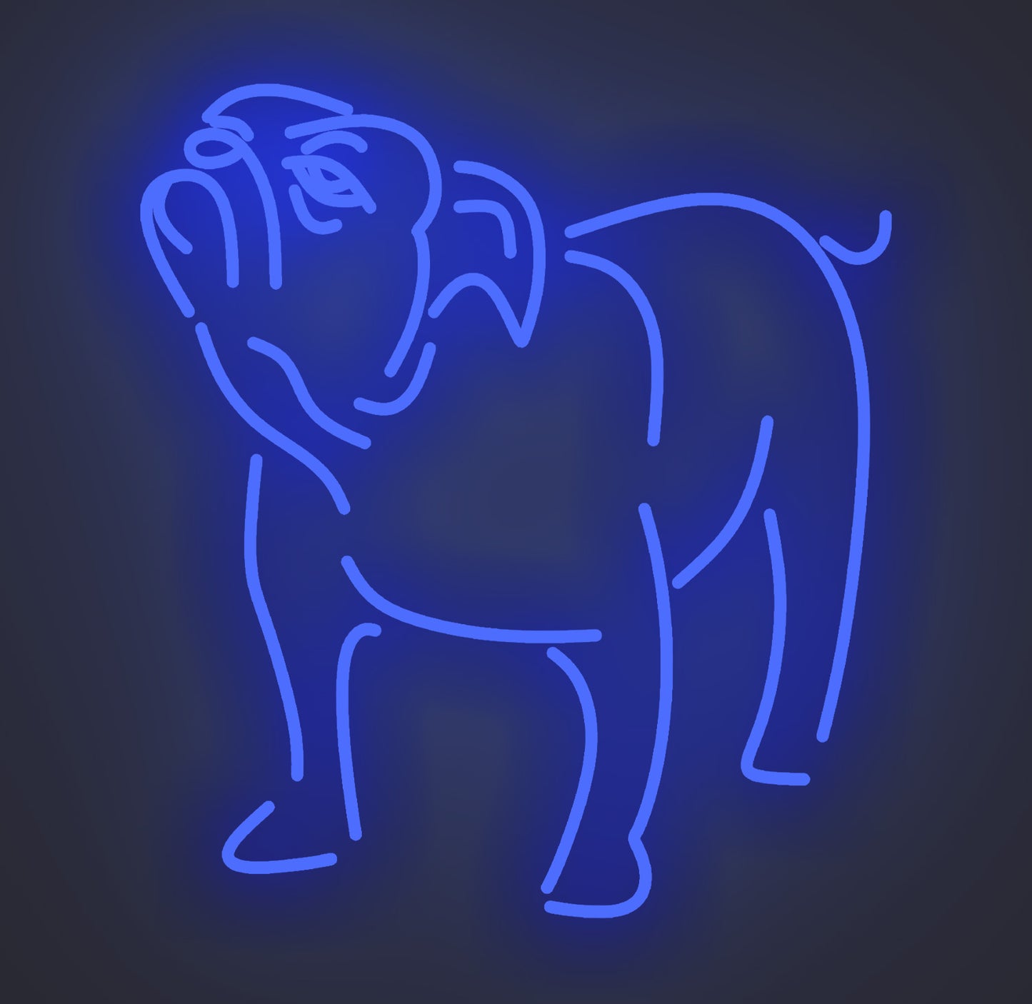 Bulldog