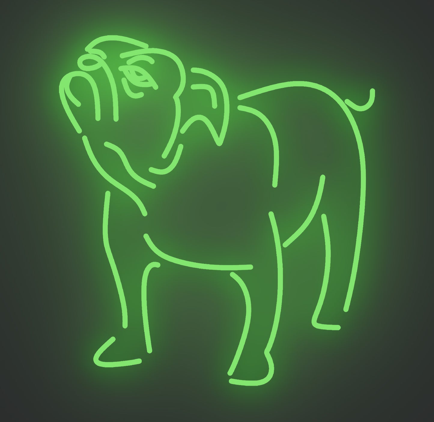 Bulldog