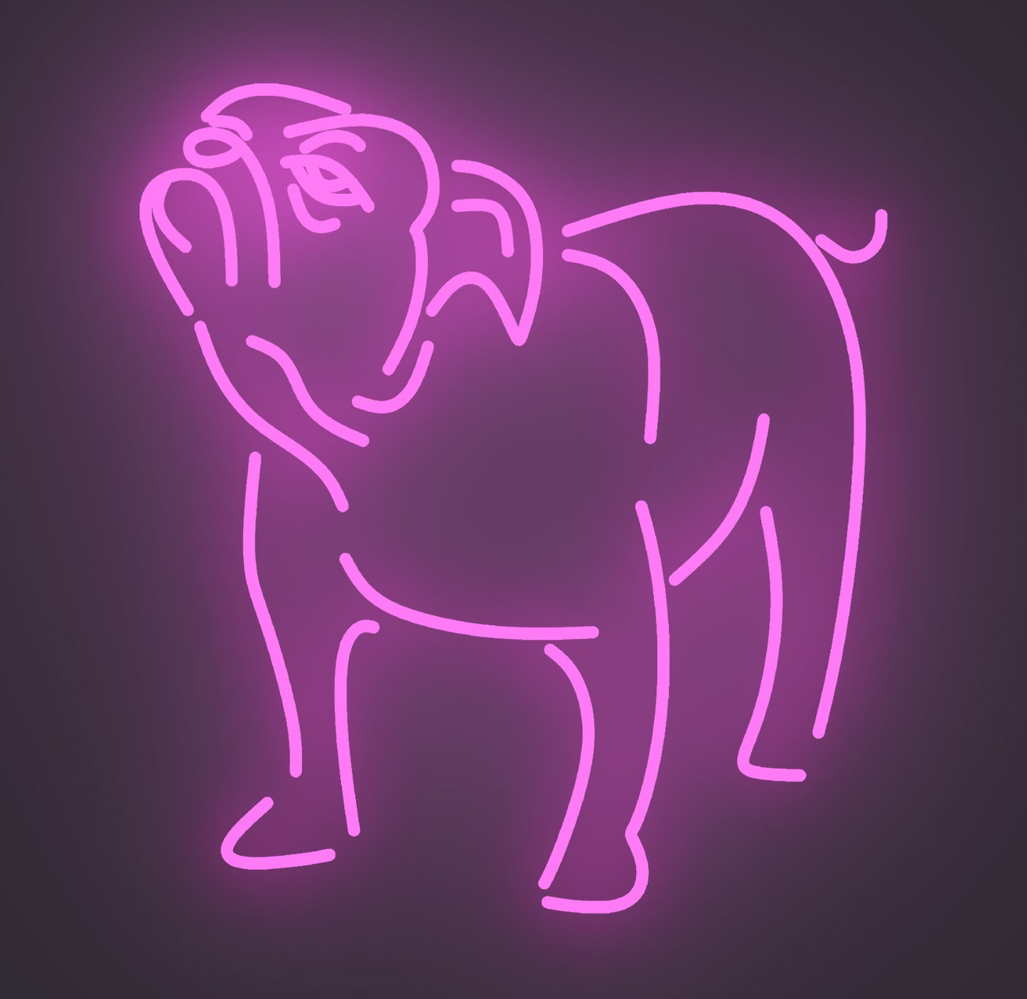 Bulldog