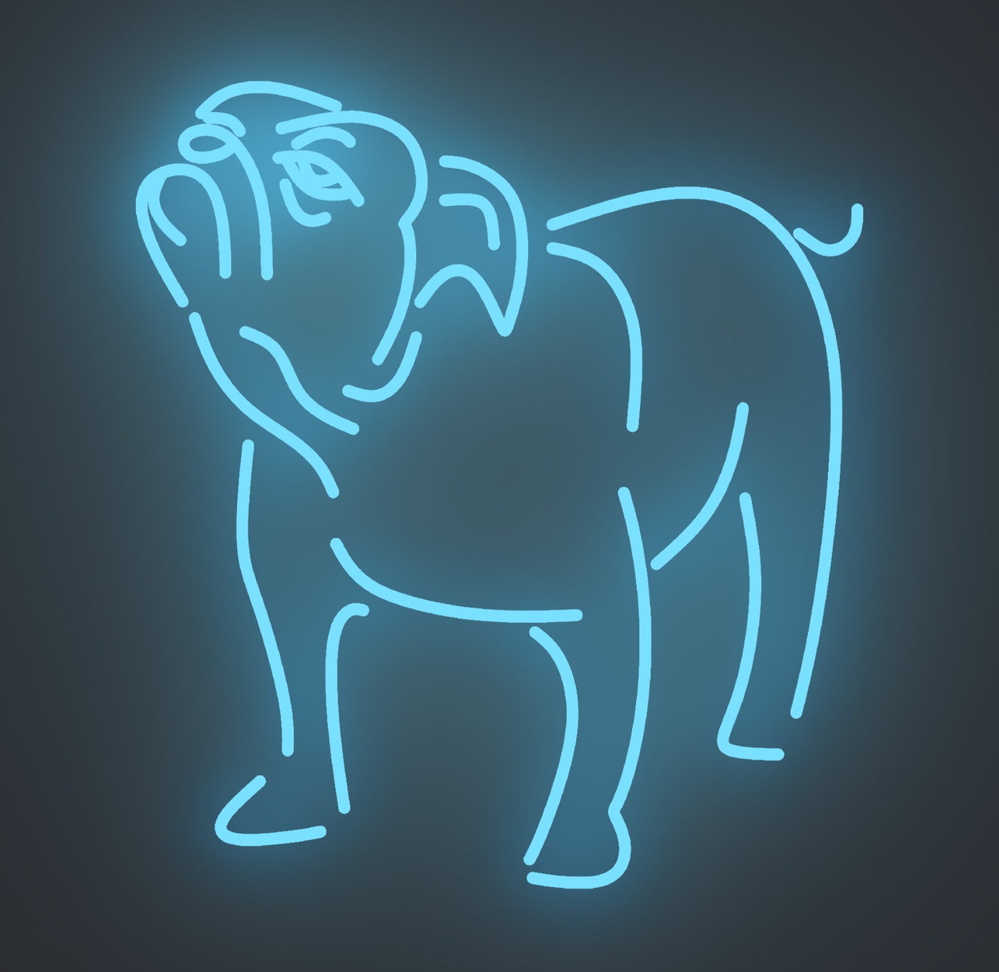Bulldog