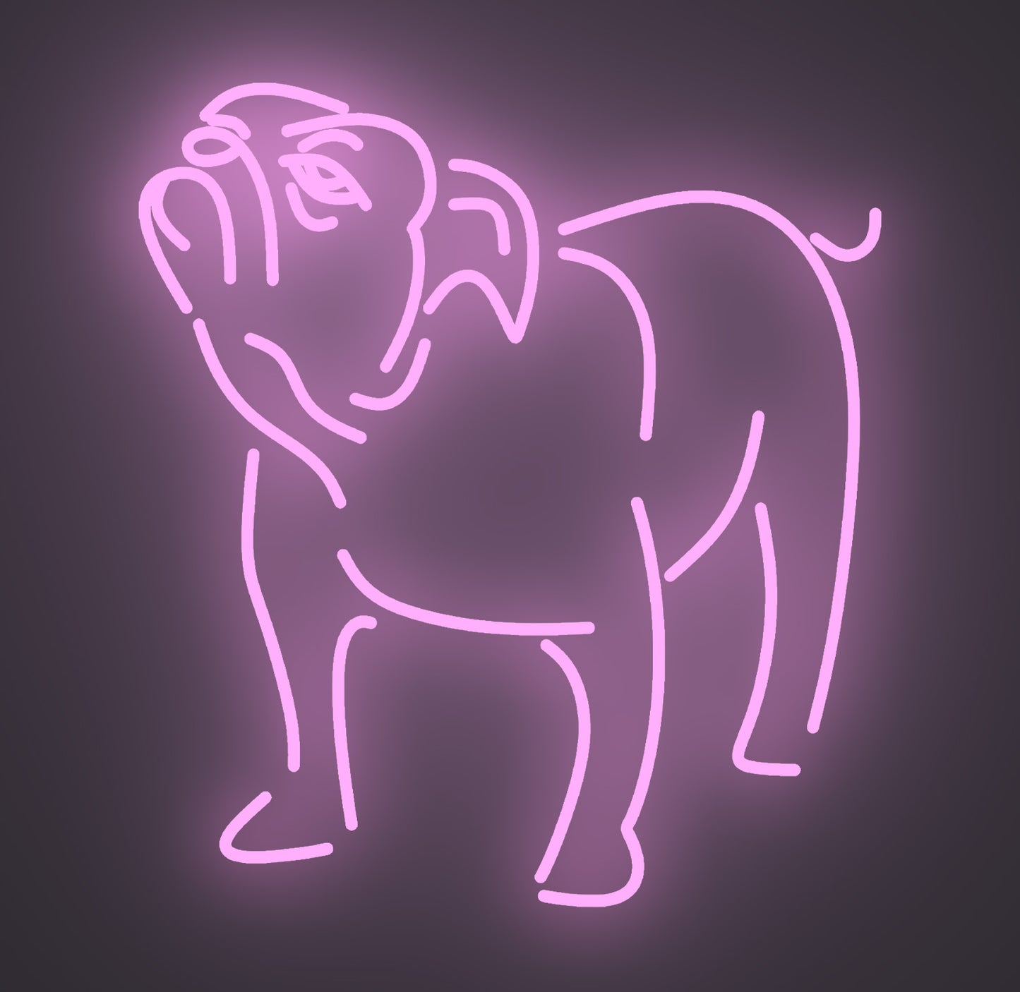 Bulldog