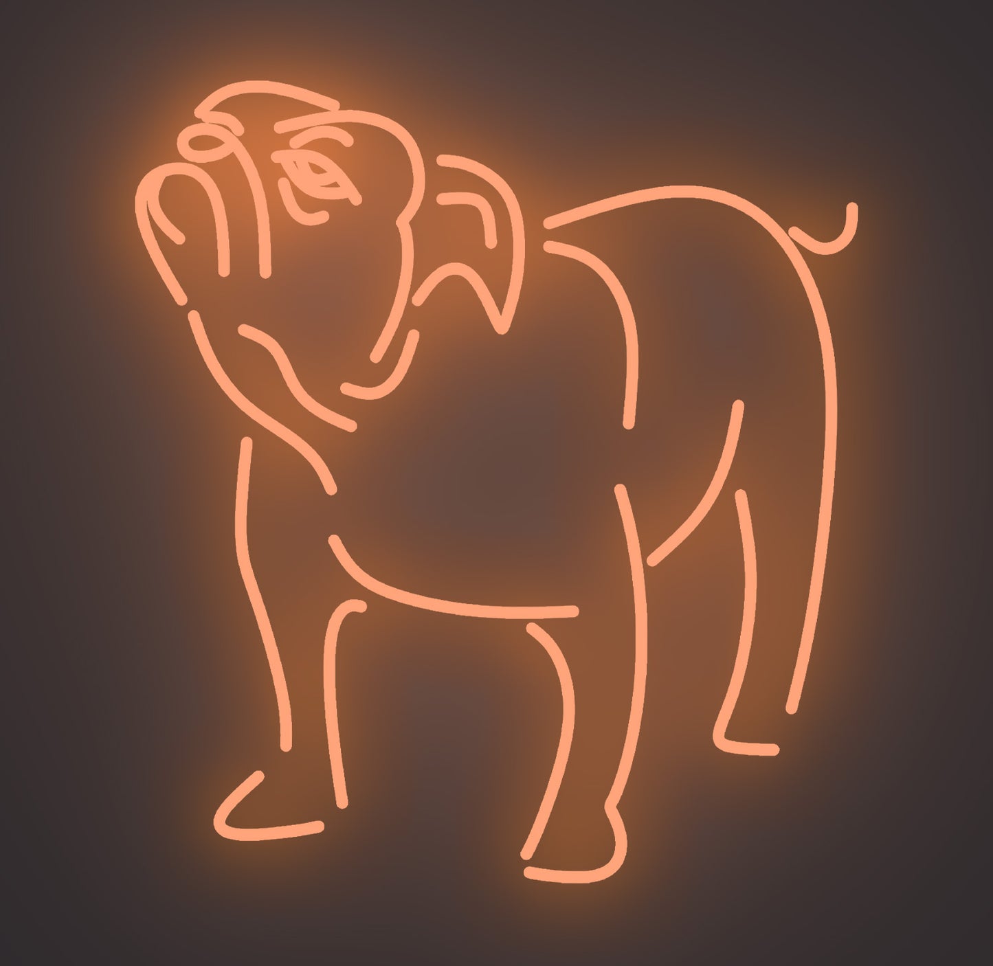 Bulldog