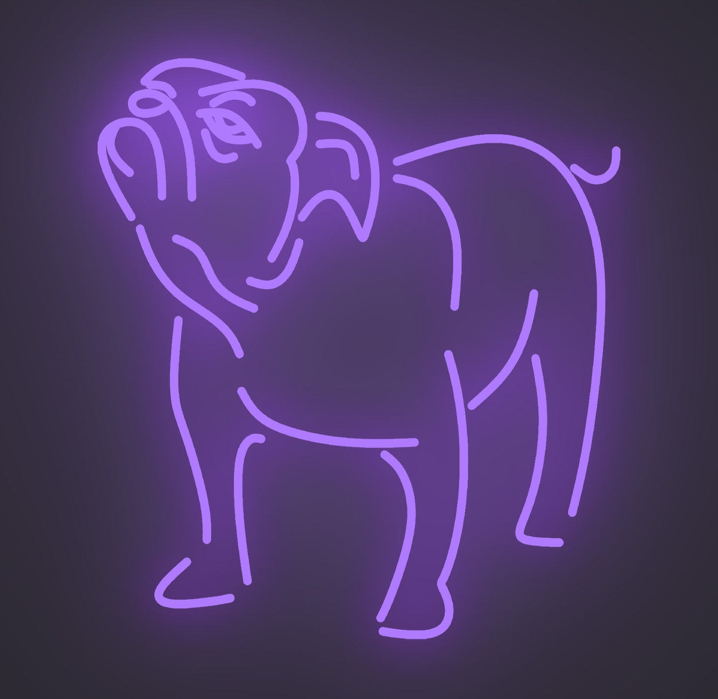 Bulldog