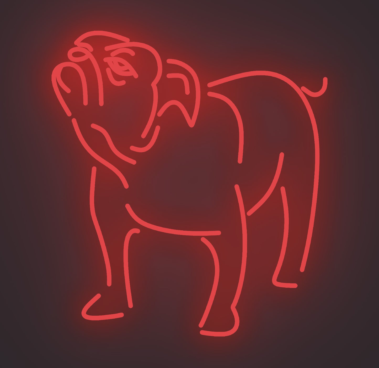 Bulldog