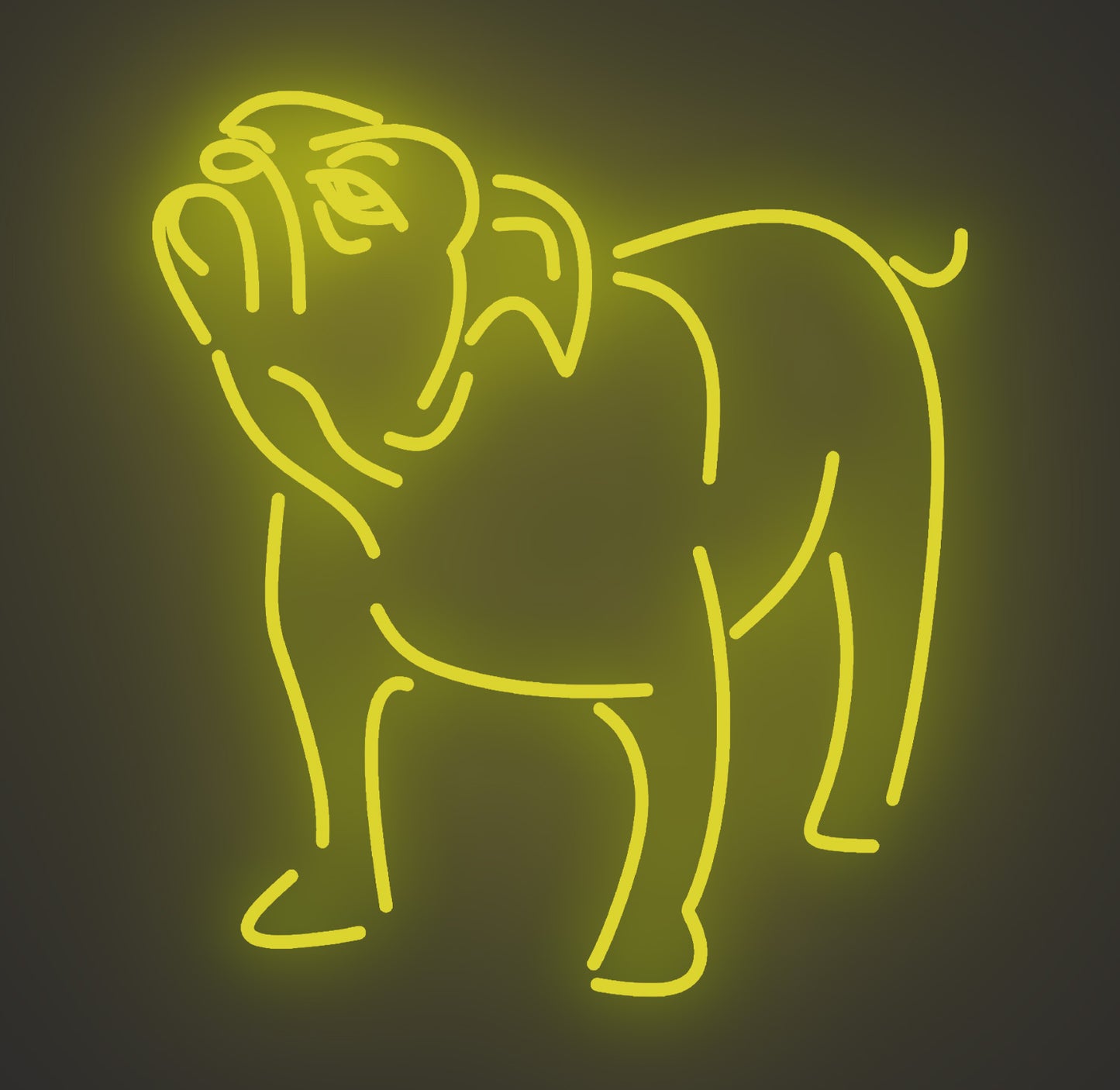 Bulldog