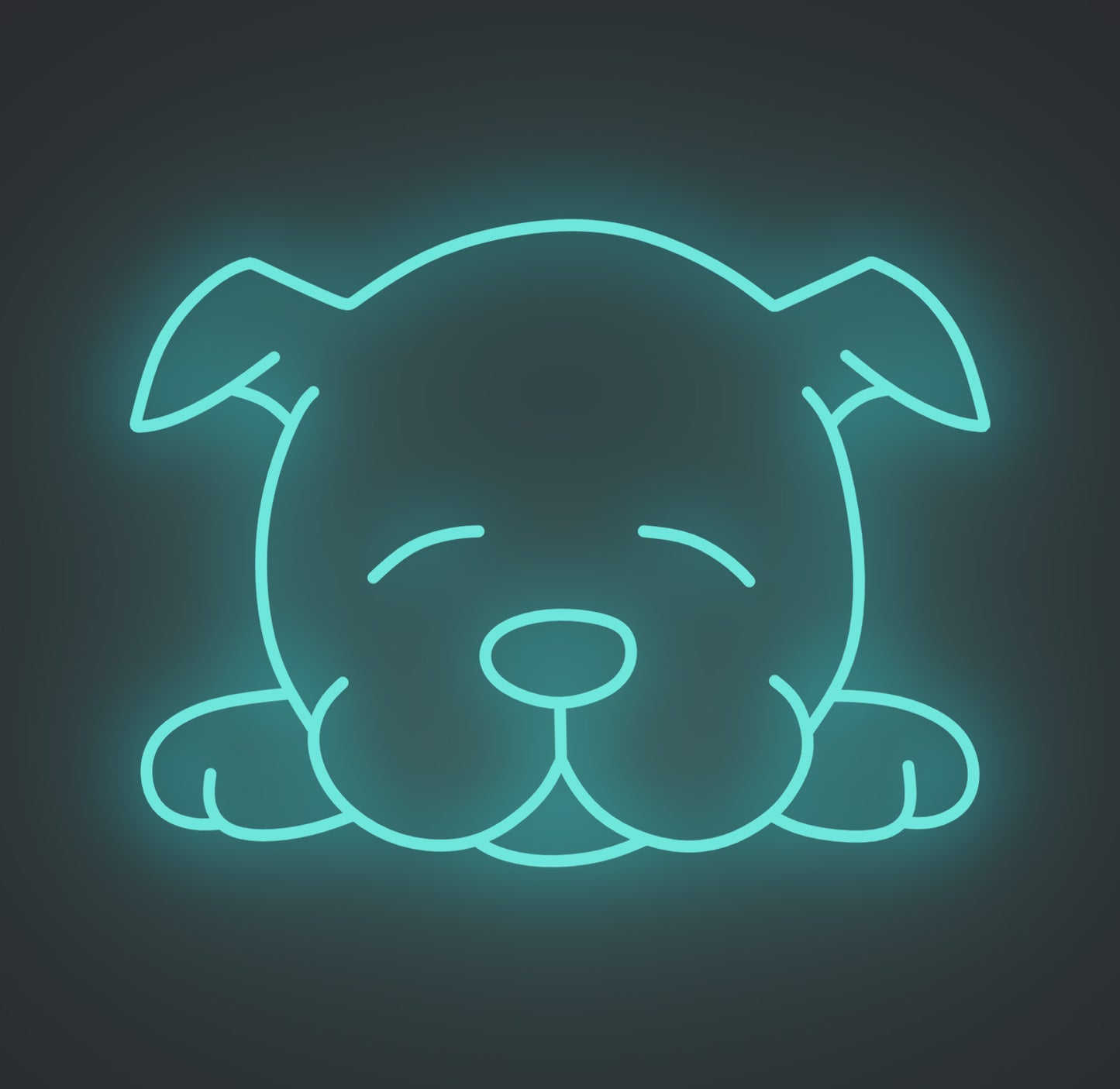 Sleeping Puppy Dog