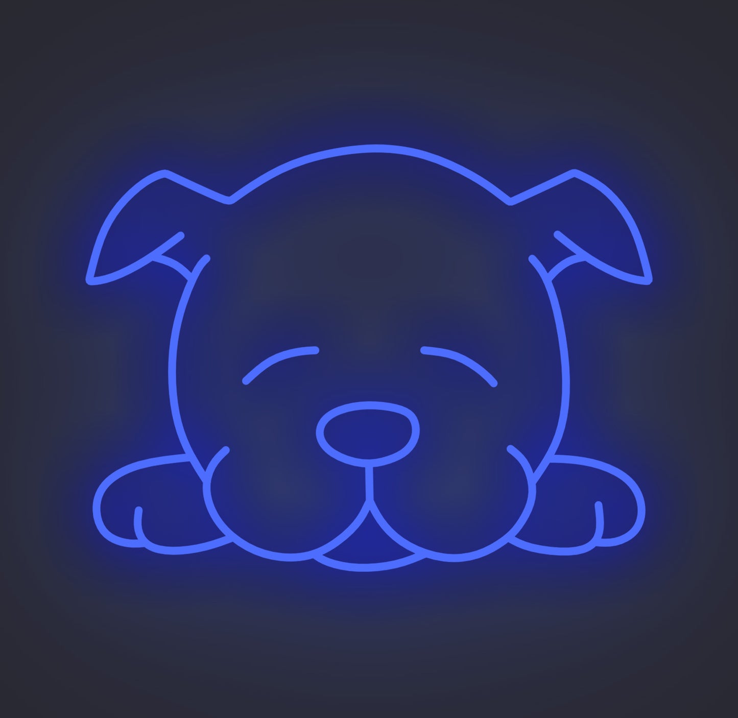 Sleeping Puppy Dog