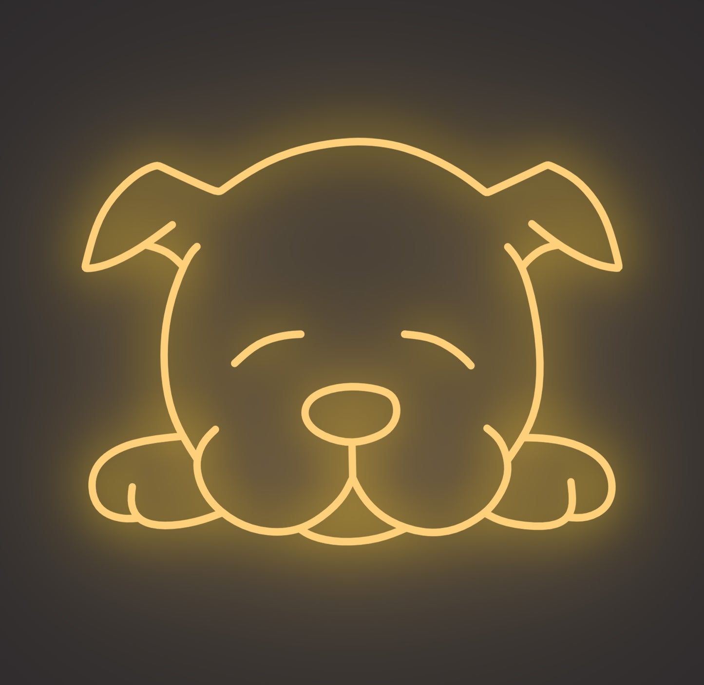 Sleeping Puppy Dog