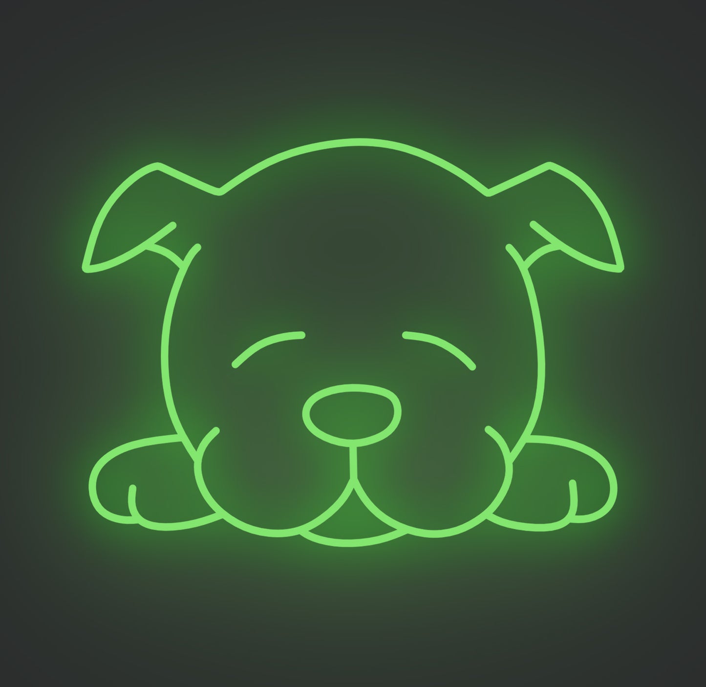 Sleeping Puppy Dog