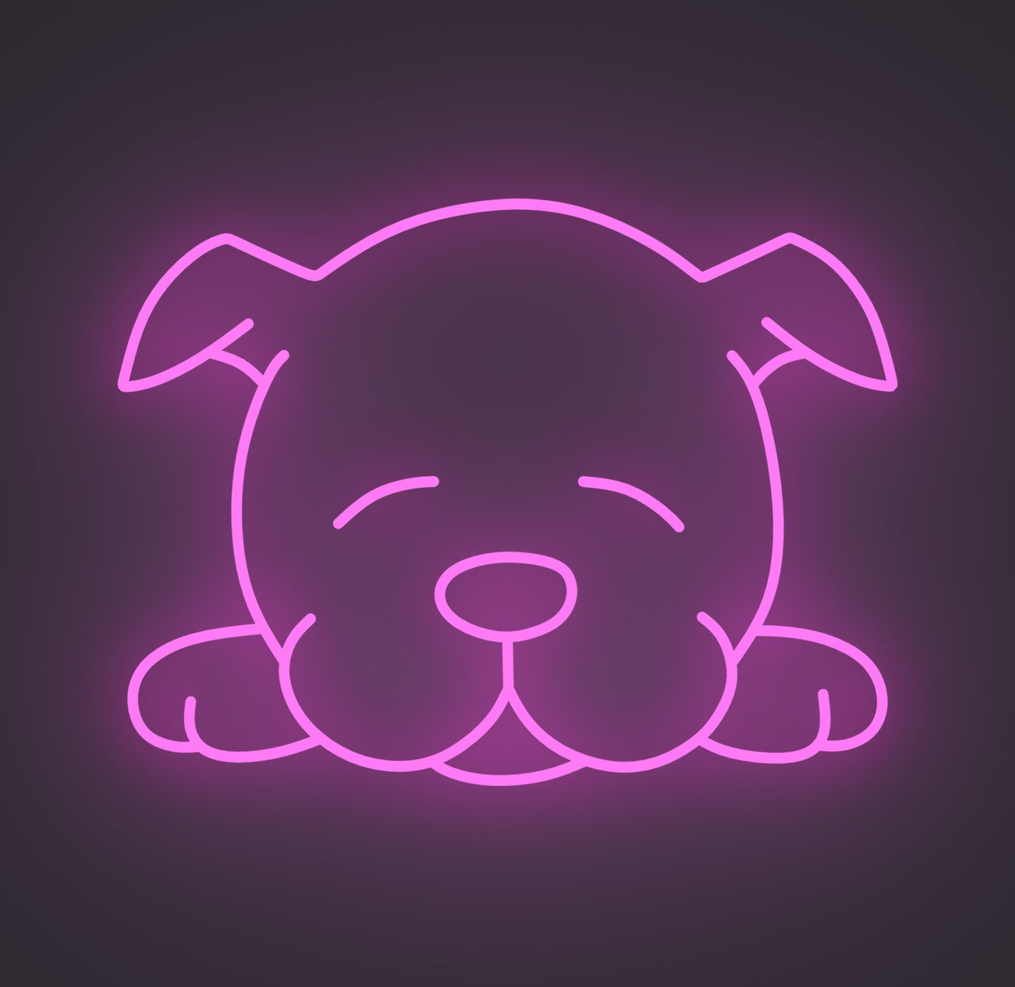 Sleeping Puppy Dog