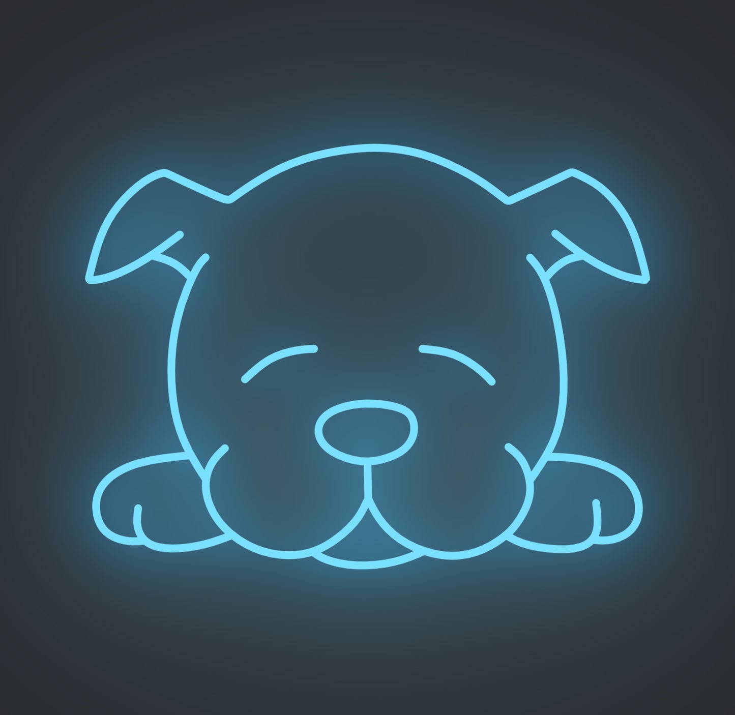 Sleeping Puppy Dog