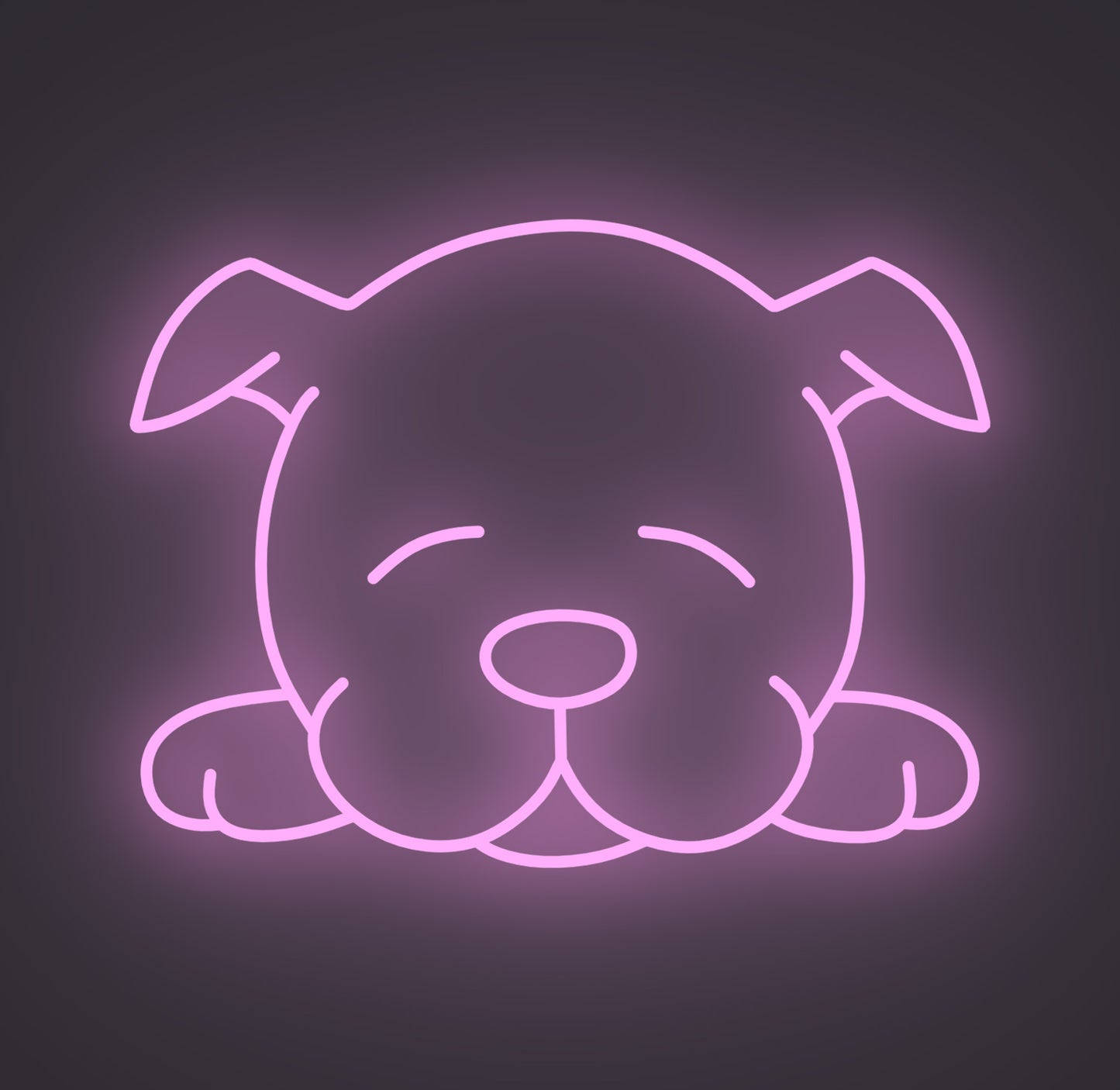 Sleeping Puppy Dog