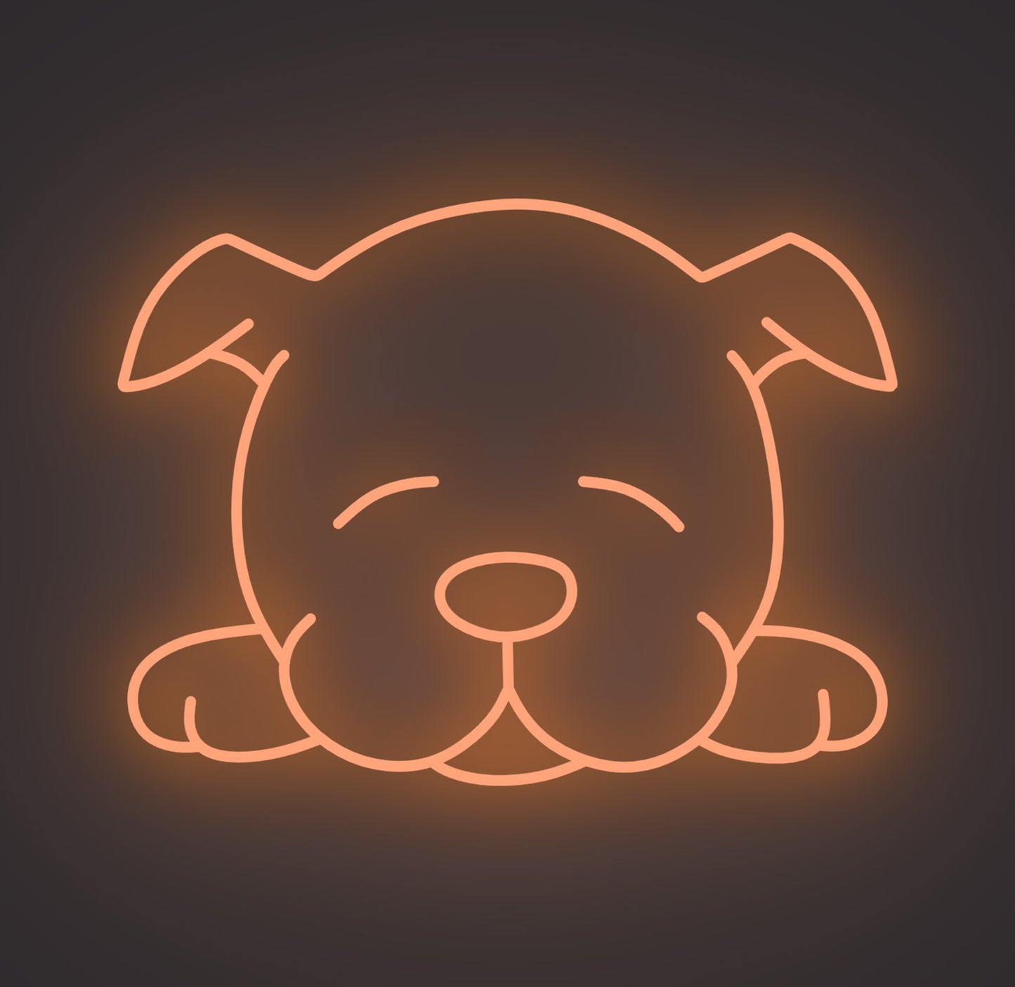 Sleeping Puppy Dog