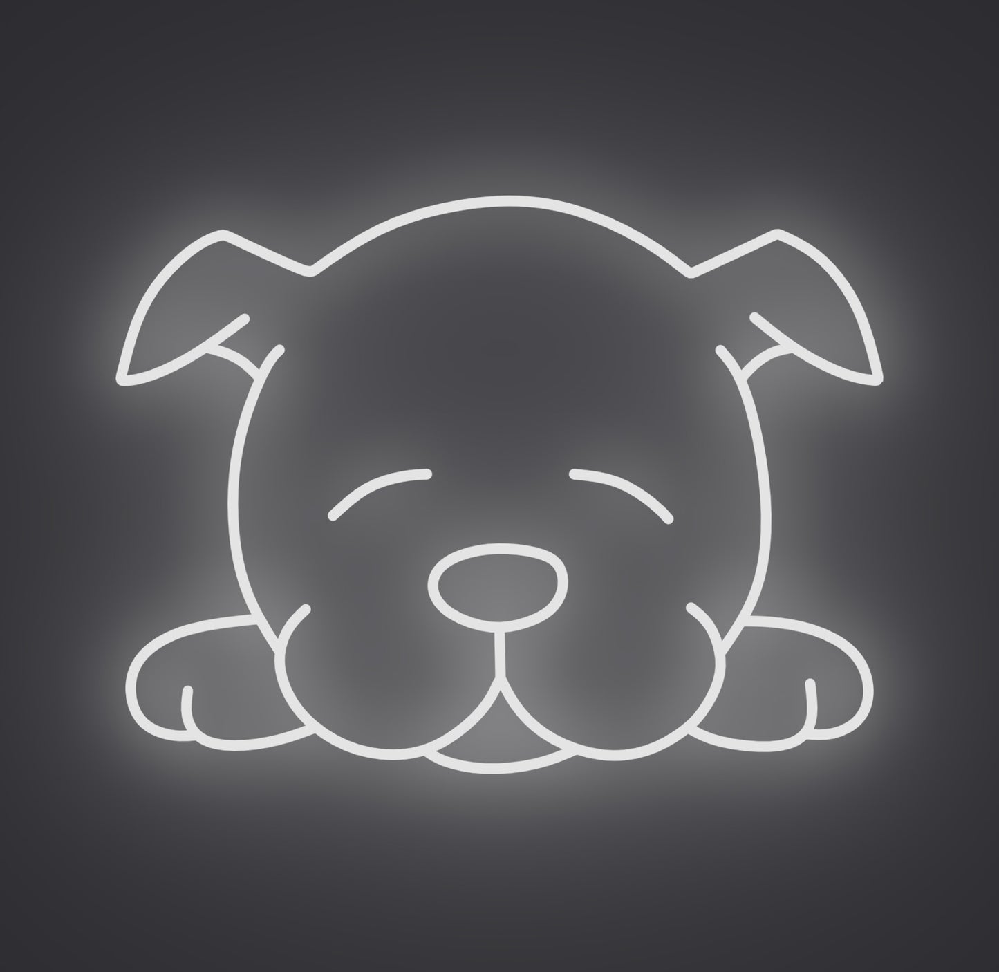 Sleeping Puppy Dog