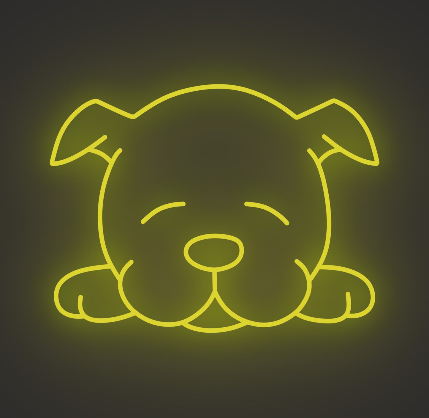 Sleeping Puppy Dog