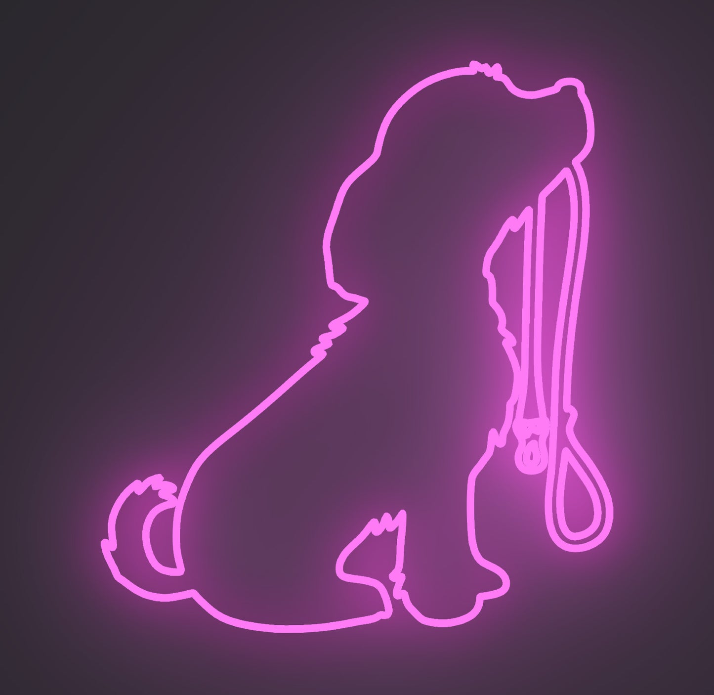 Puppy Dog Holding Leash
