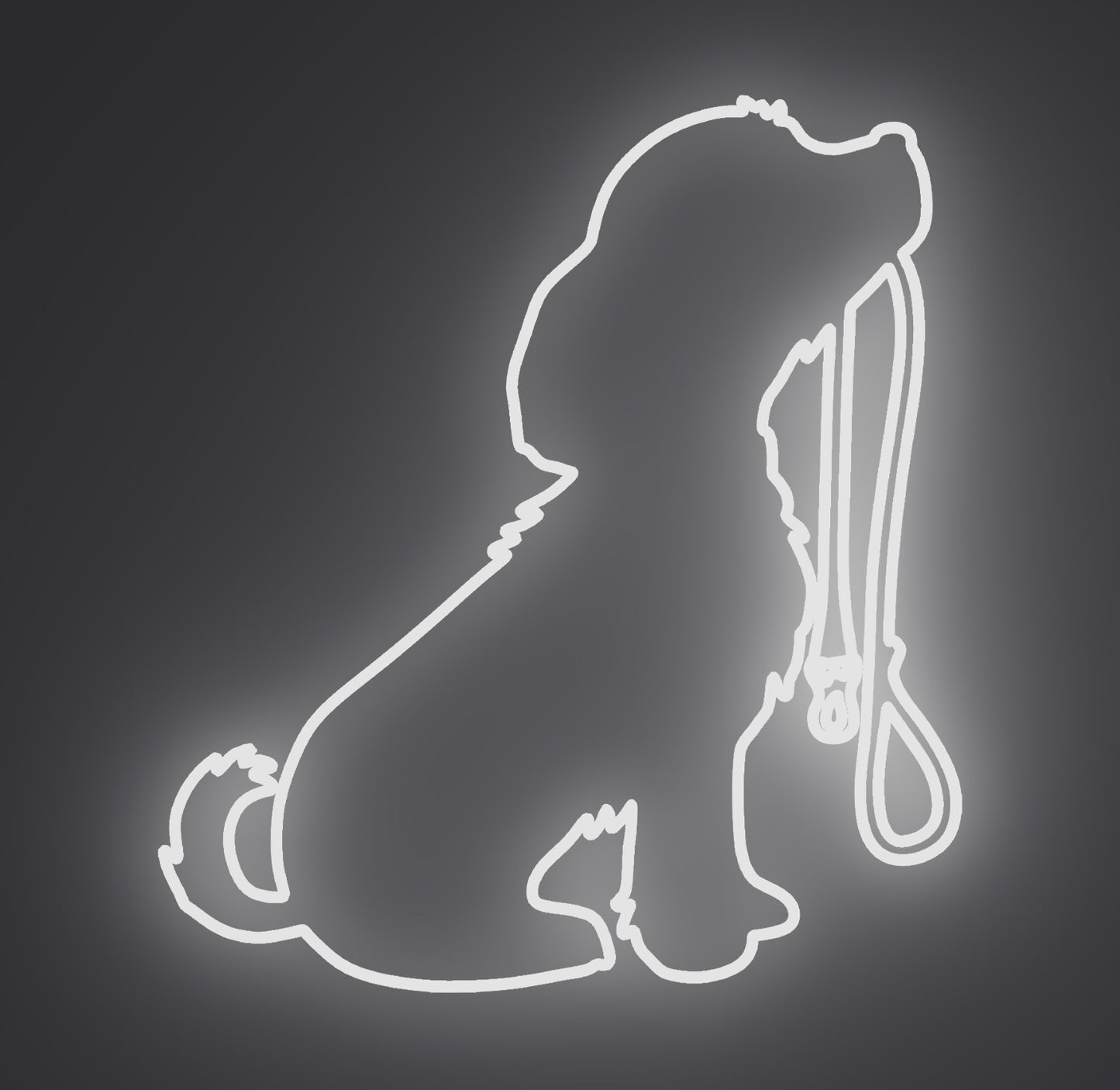 Puppy Dog Holding Leash