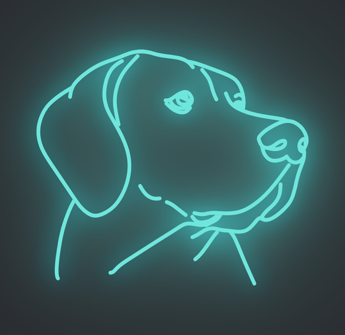 Labrador Retriever Dog 01